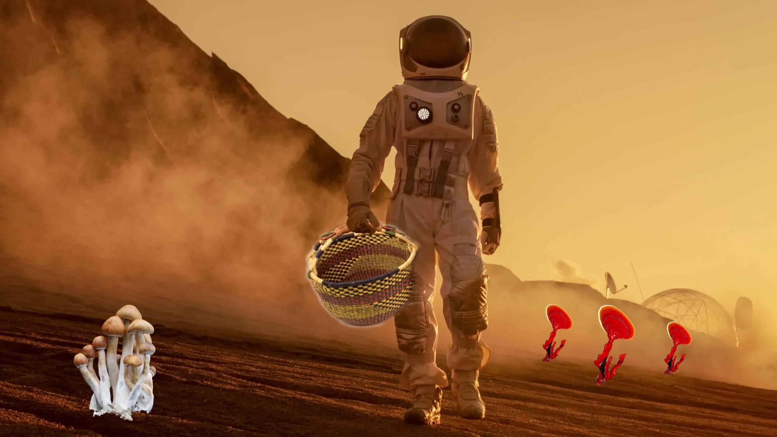 Interview: Future Space Travel Might Require Mushrooms