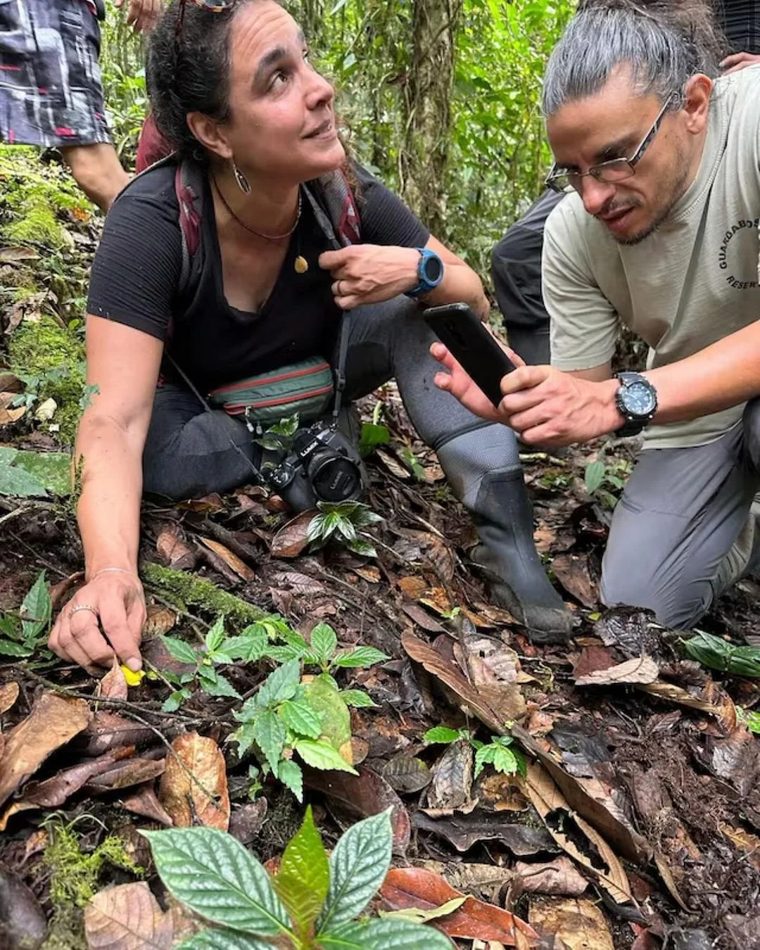 Championing for the Rights of Fungi and Advocating for the Protection of Ecosystems