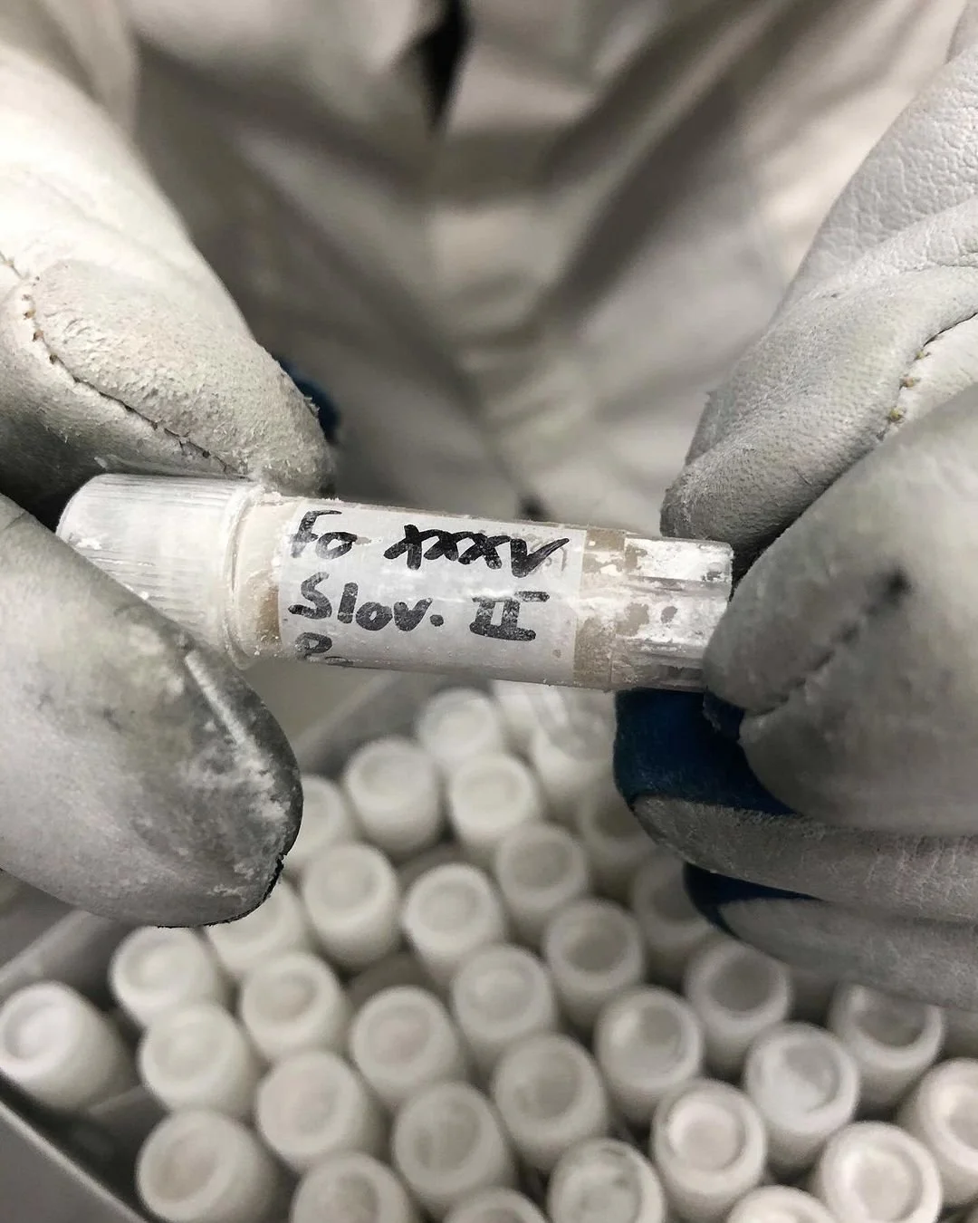 Fungi Culture Preservation