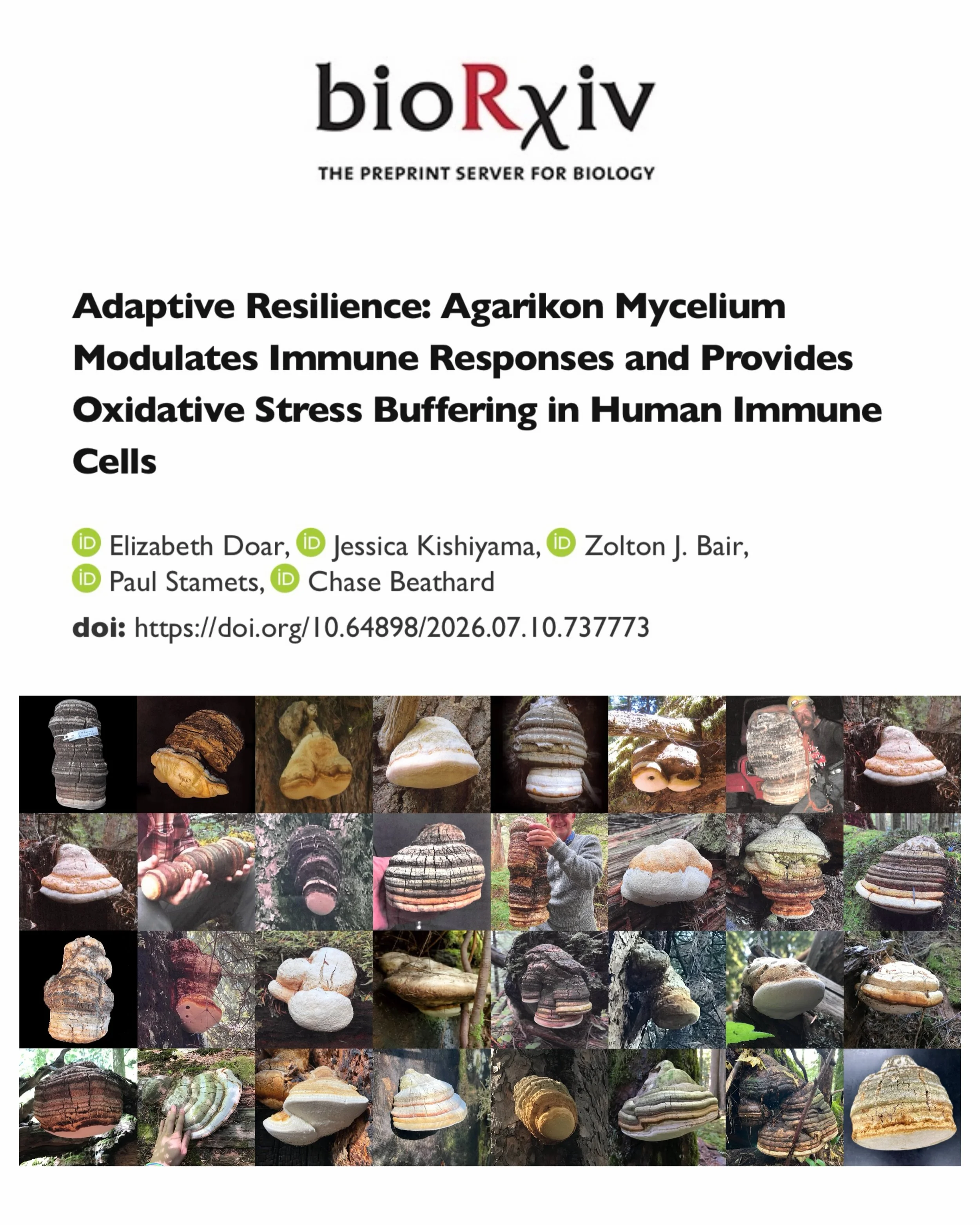 SnapInsta.to_779167319_18581377876071520_4601064683039705169_n.jpg