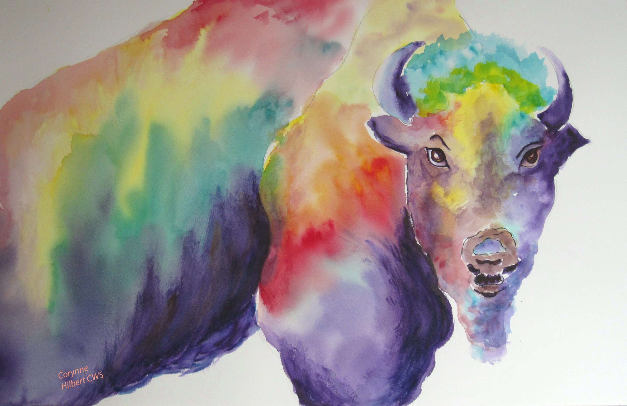 buffalo signed.jpg