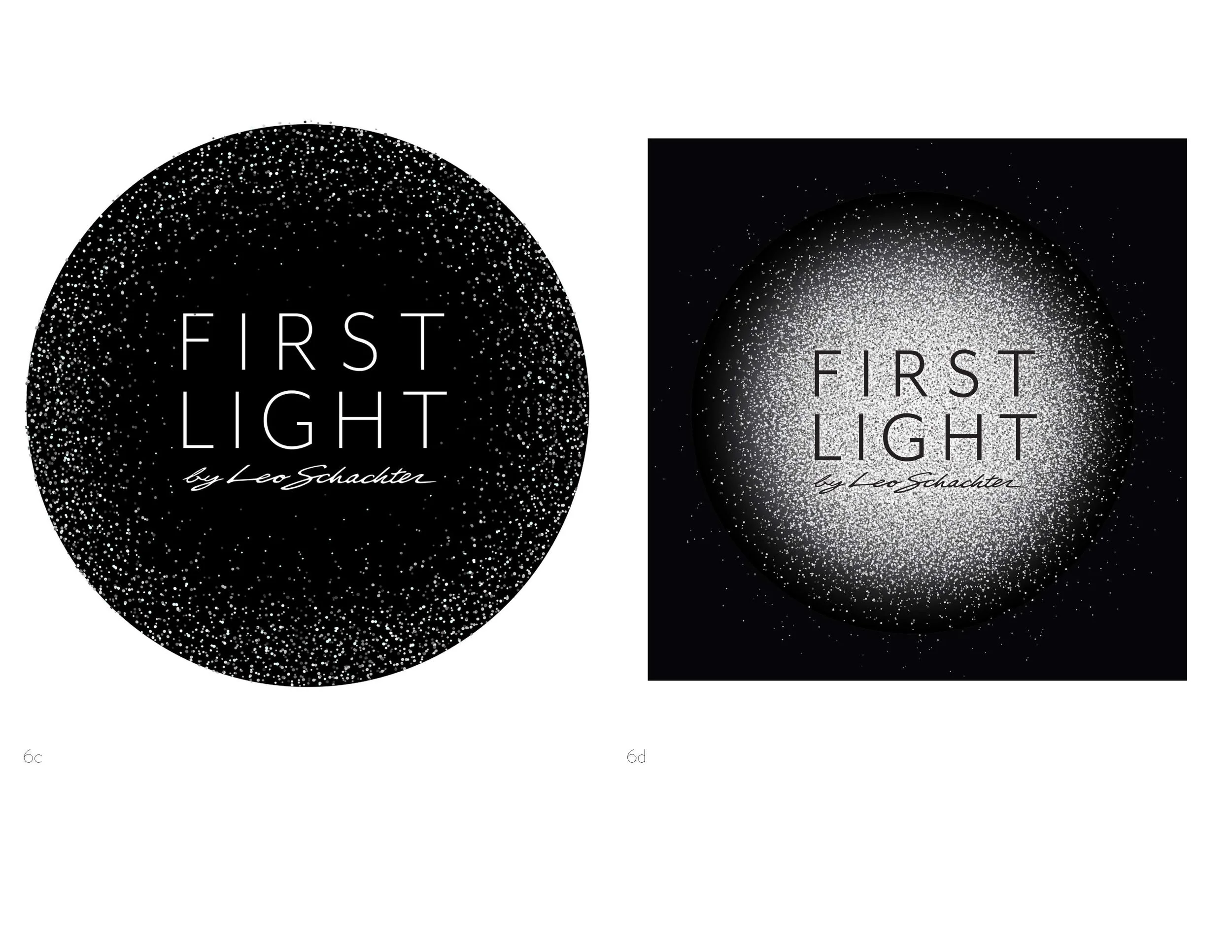3-9_FirstLight_Presentation copy_Page_13.jpg