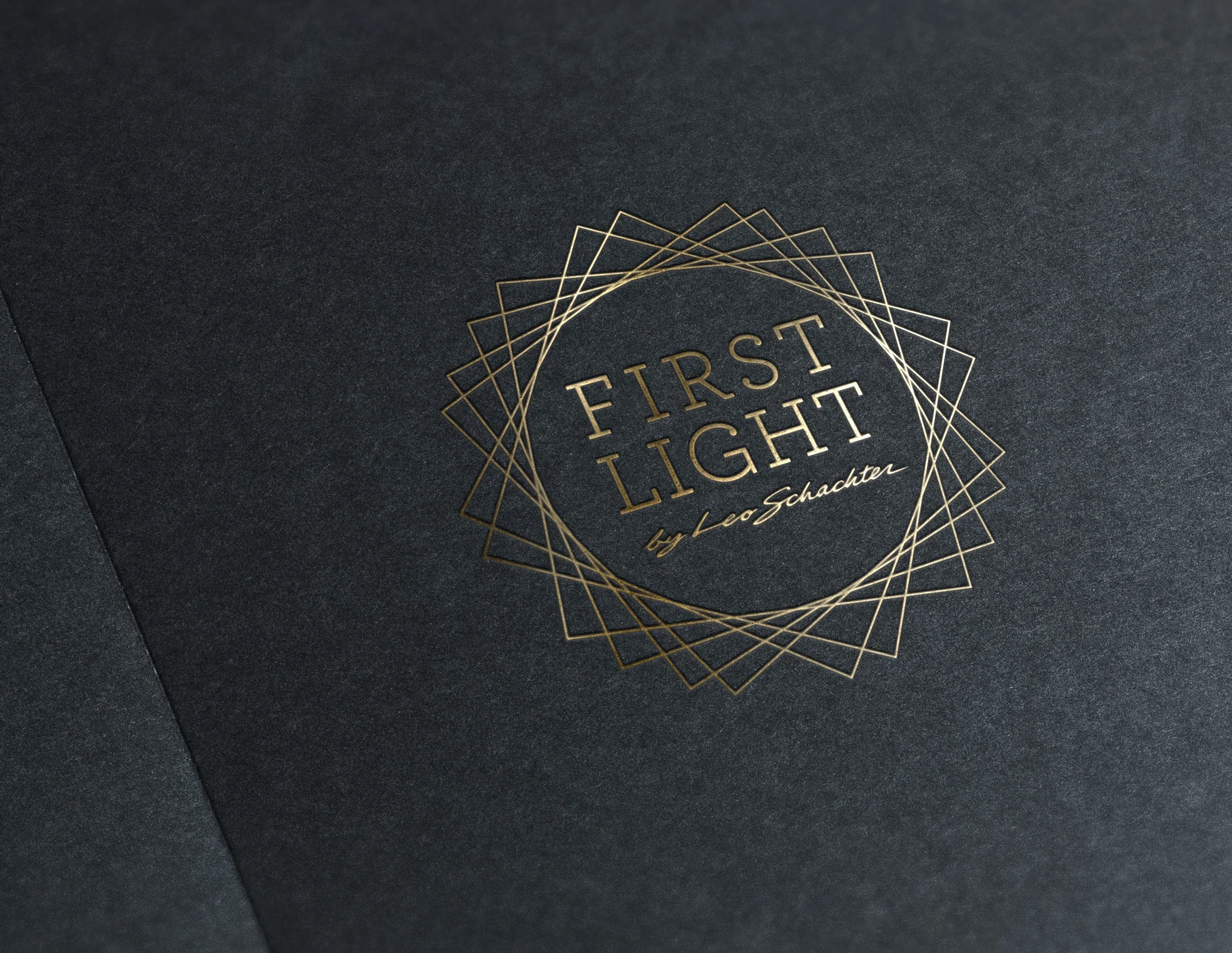 3-9_FirstLight_Presentation copy_Page_02.jpg