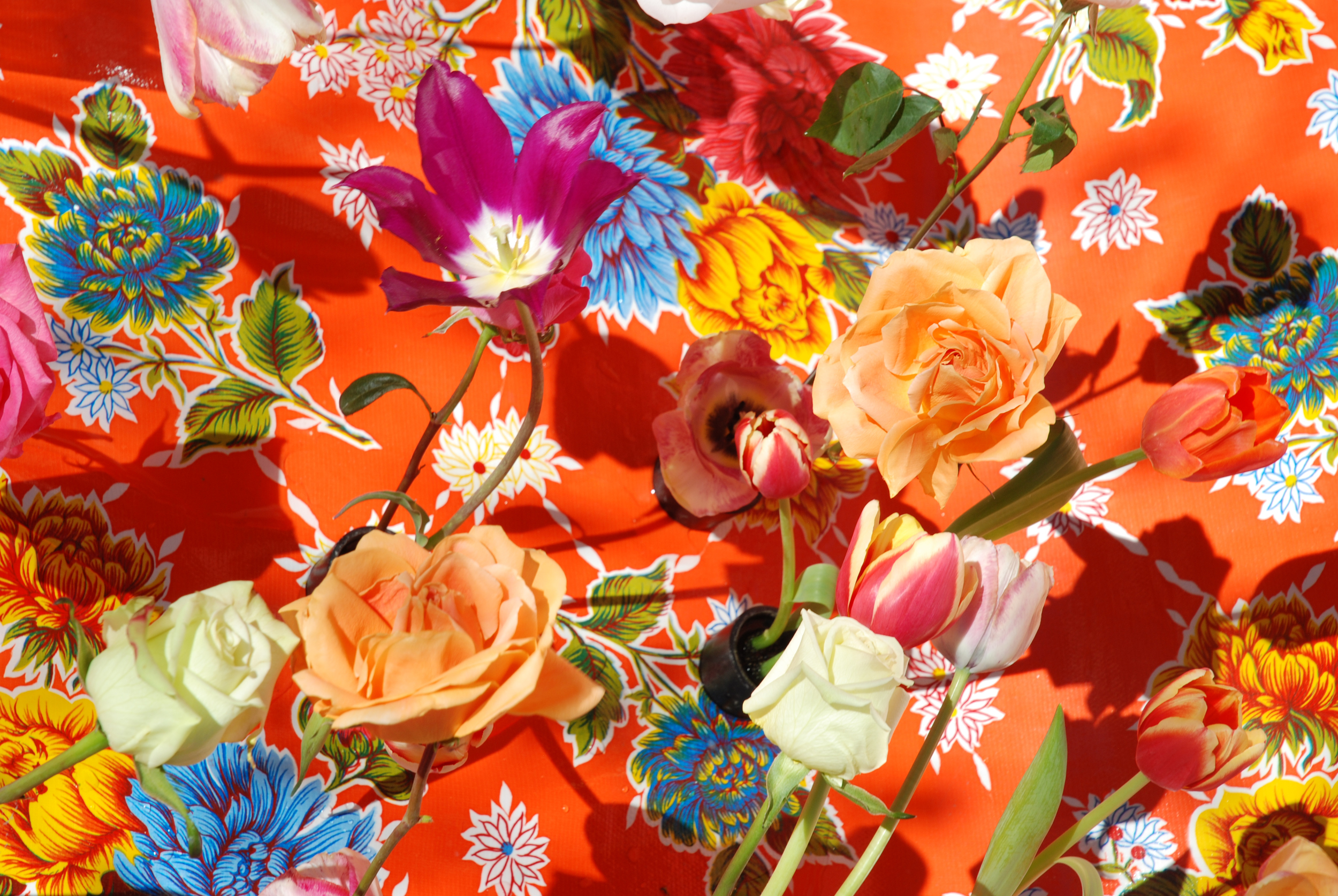Tulips and Roses