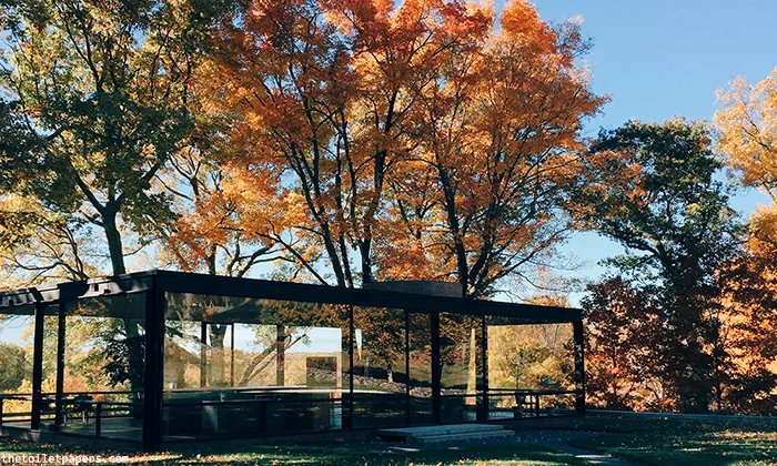 glasshouse1.jpg
