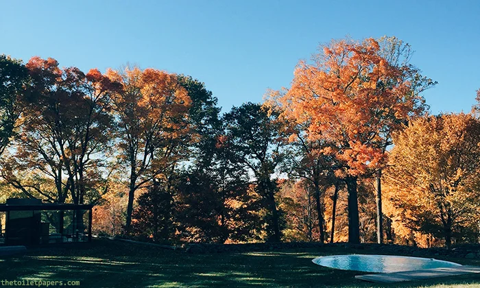 glasshouse5.jpg