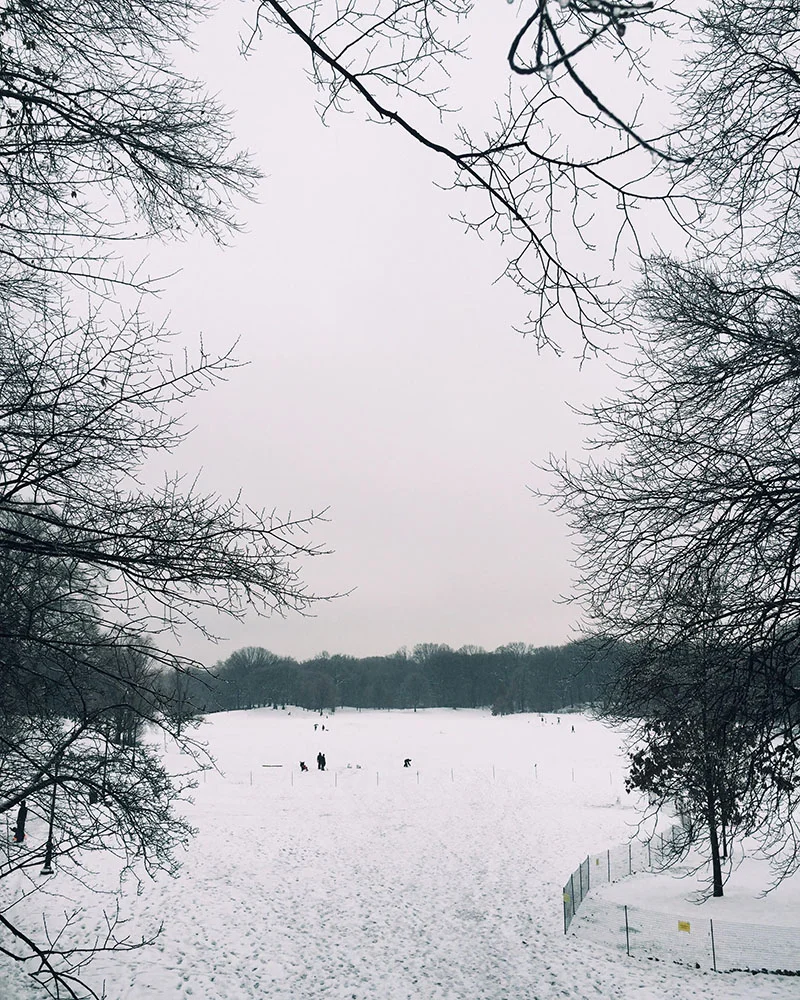 snow-title.jpg
