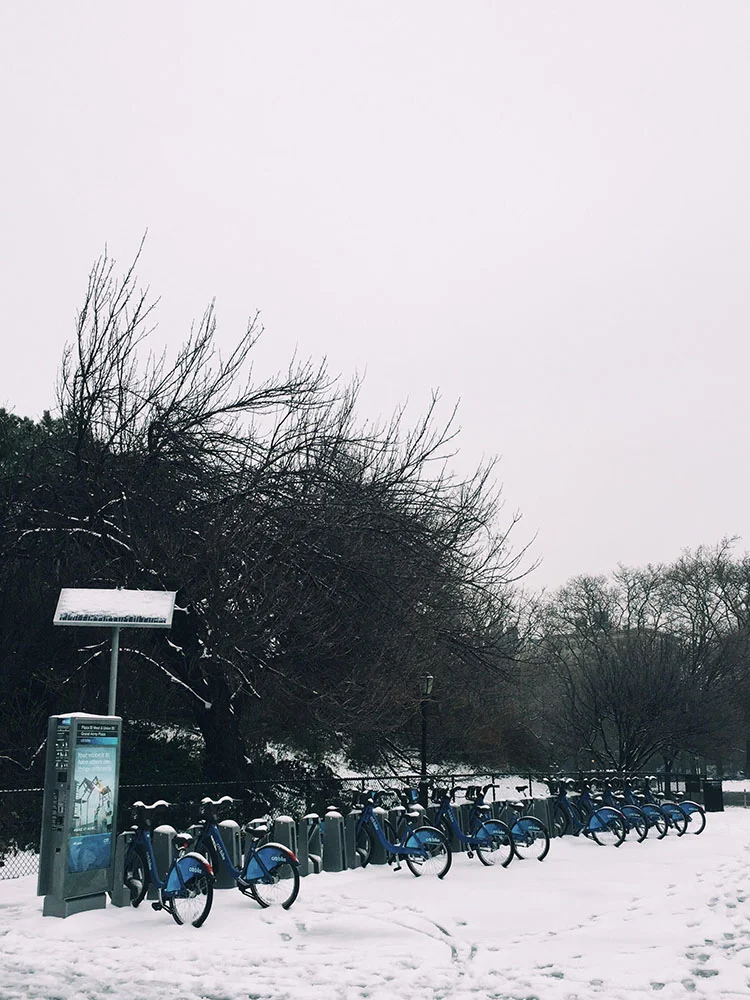 snow-citibike(tall).jpg
