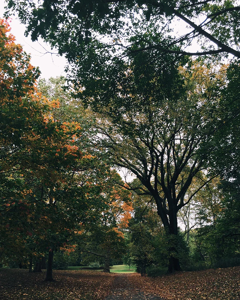 prospectpark-03.jpg