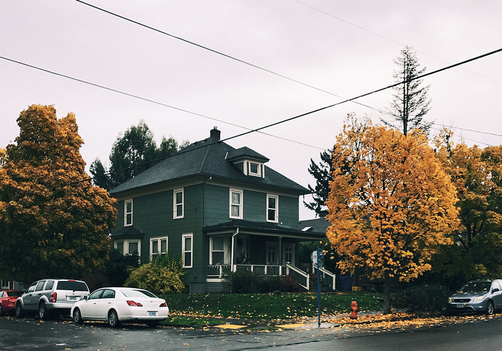 sun-foliage-08.jpg
