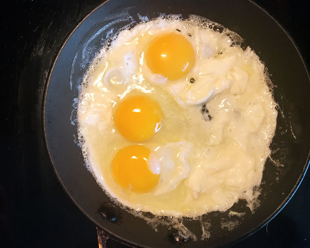 saltieseggs-01-eggs.jpg