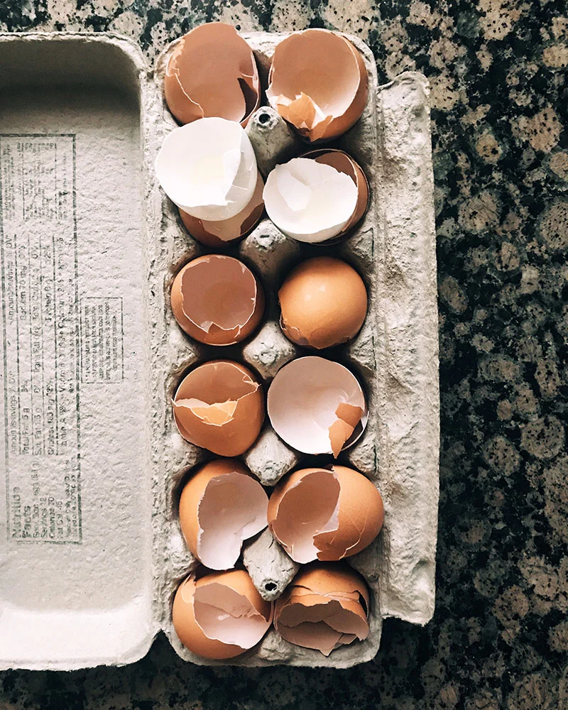 eggshells-carton.jpg