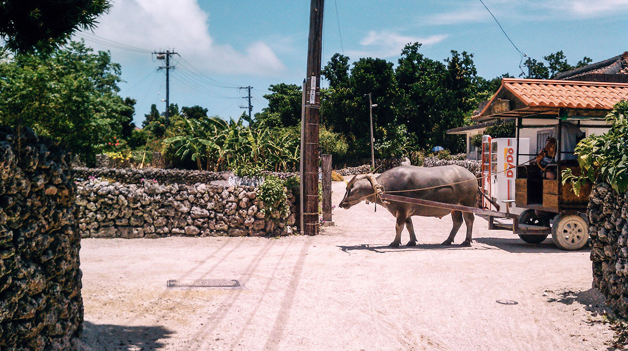 taketomi-09.jpg