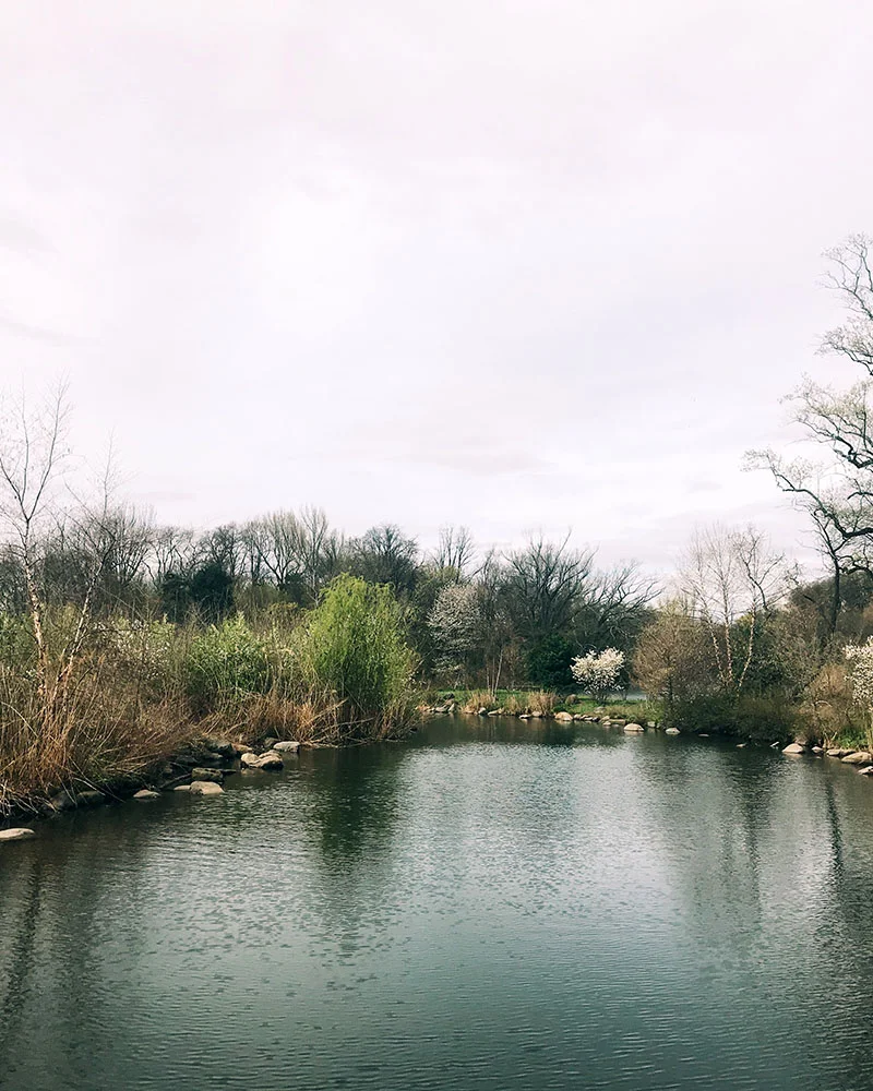 mon-prospectpark-01.jpg