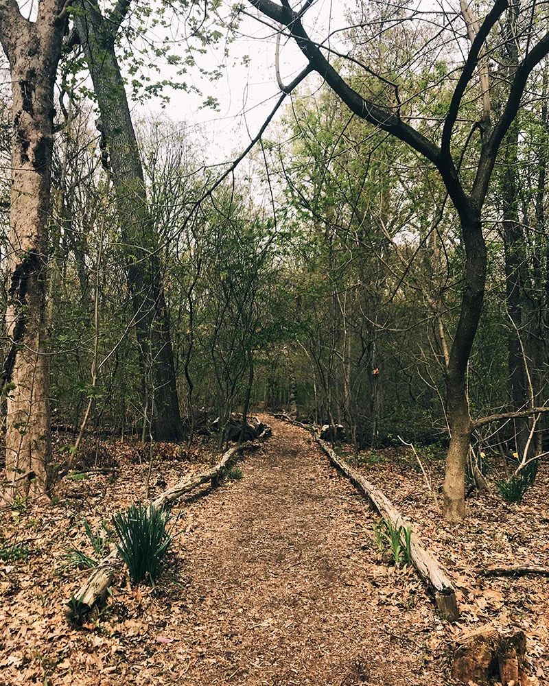 mon-prospectpark-03.jpg