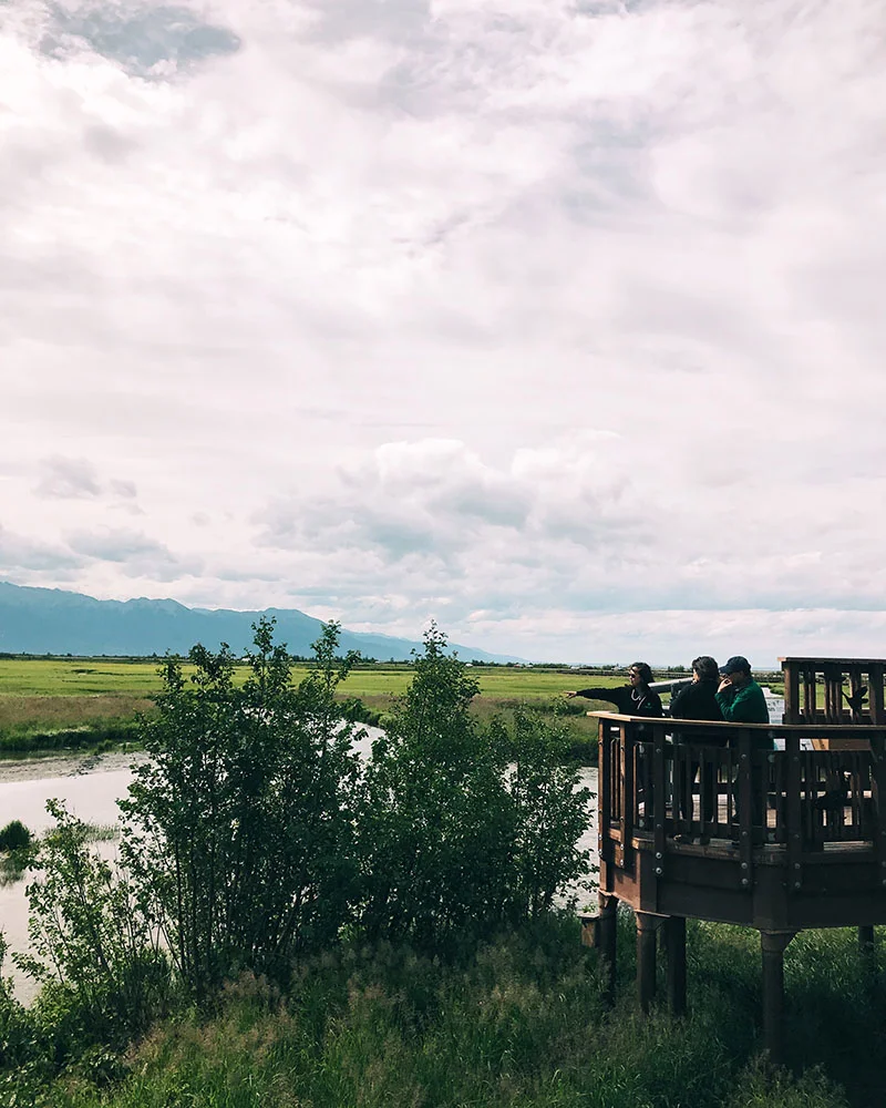 180713-pottermarsh.jpg