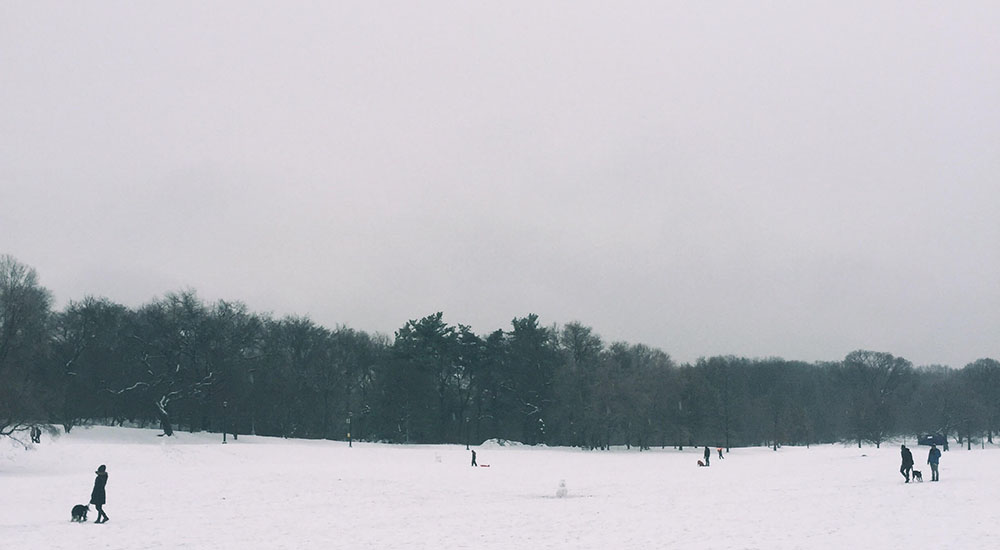 snow-park(w)(02).jpg