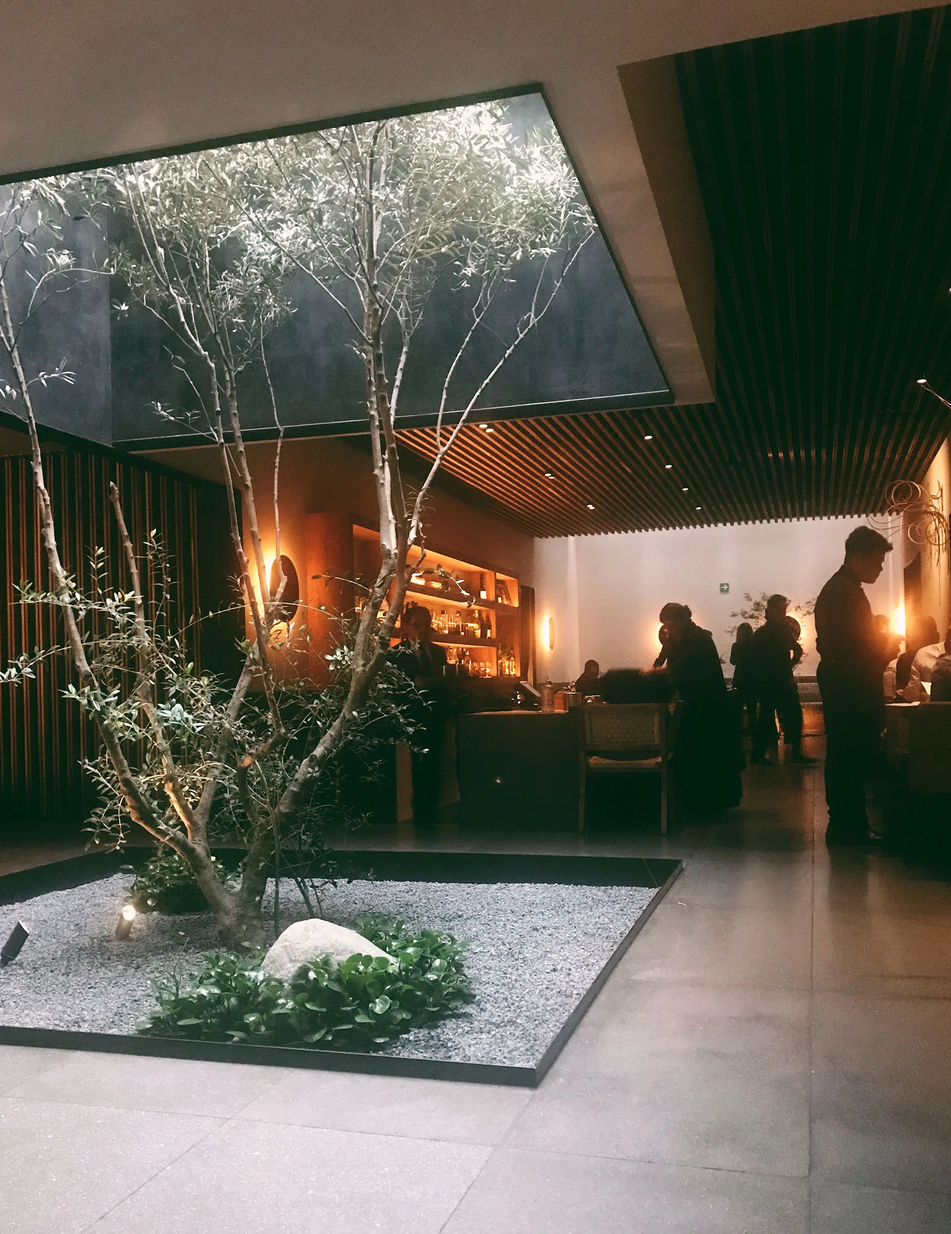 cdmx-04-pujol-interior-01.jpg