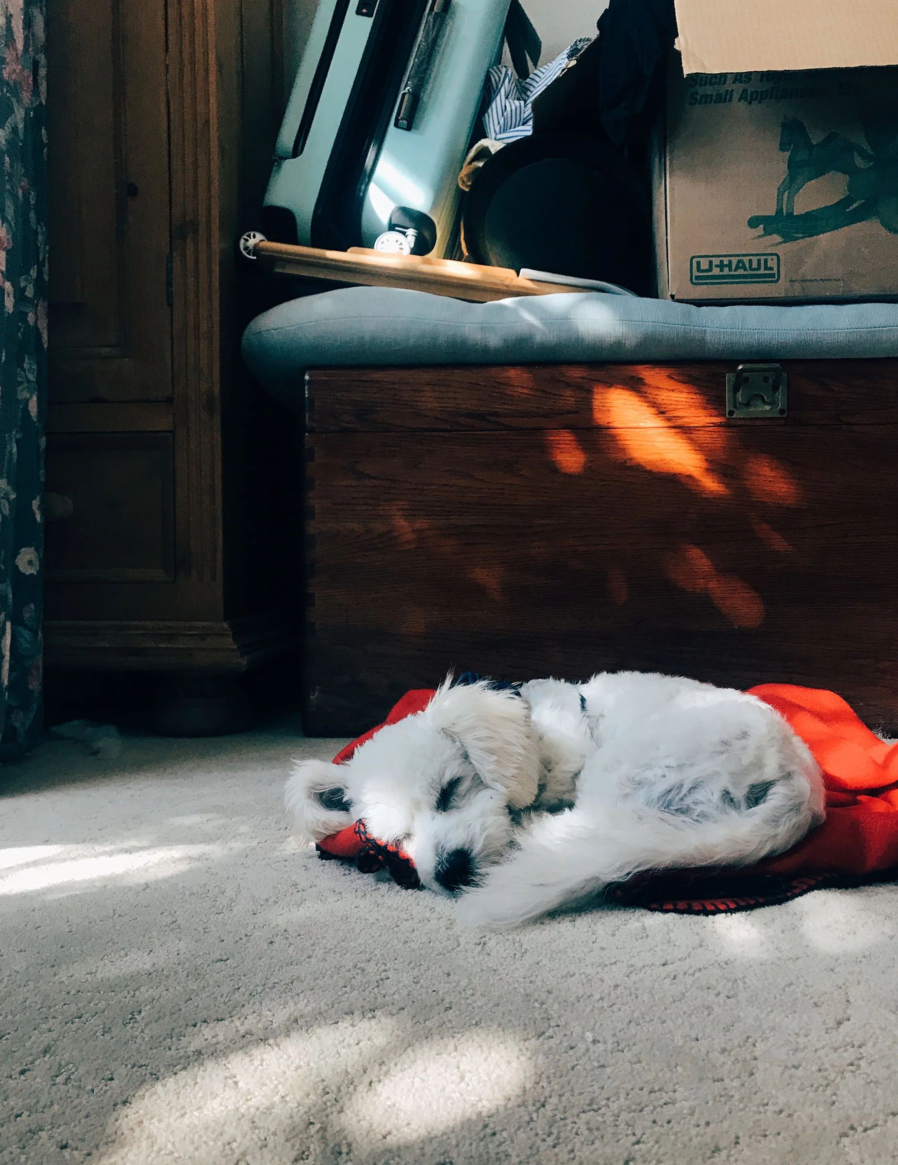 SOM-SLEEPING-04.jpg