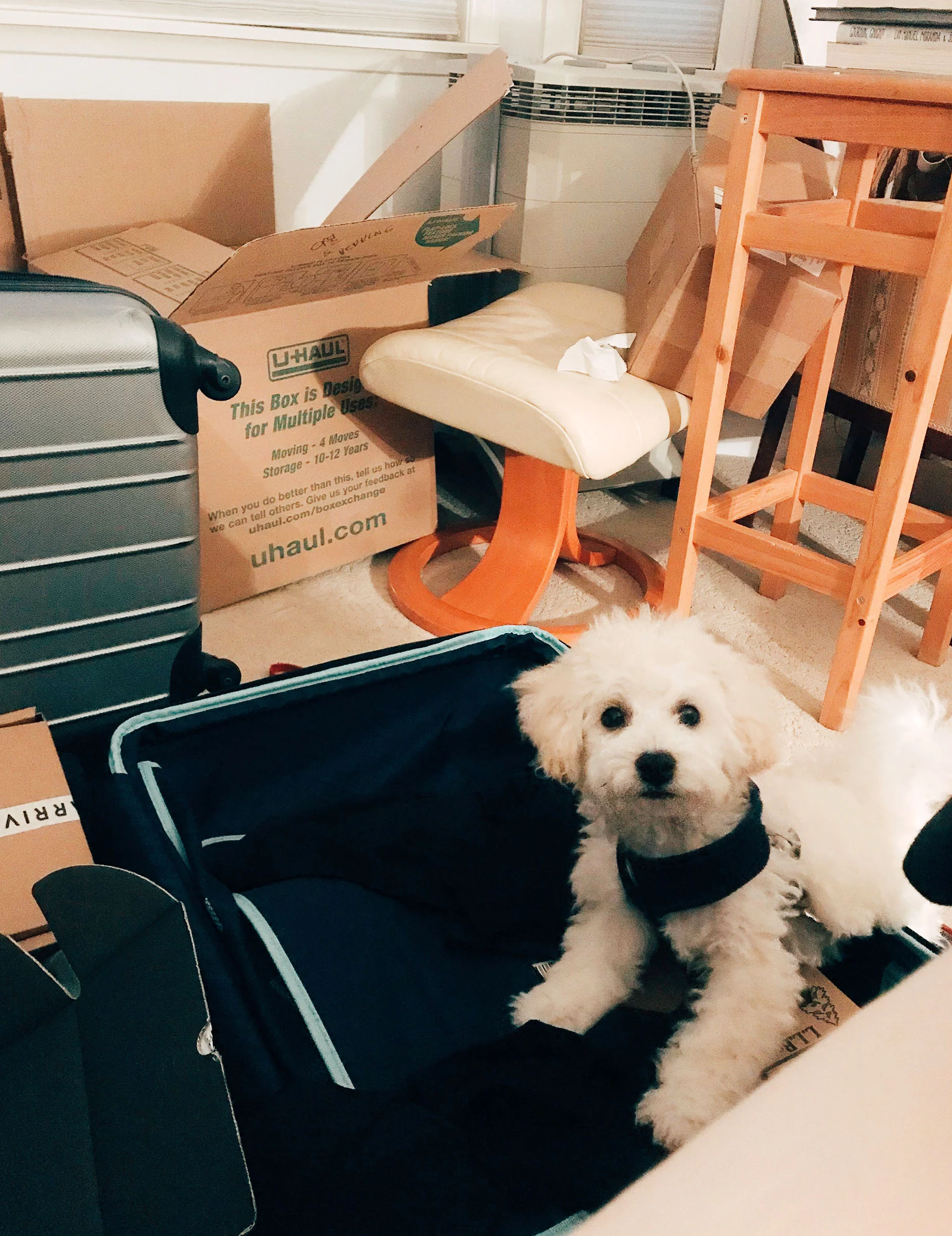 SOM-SUITCASE.jpg