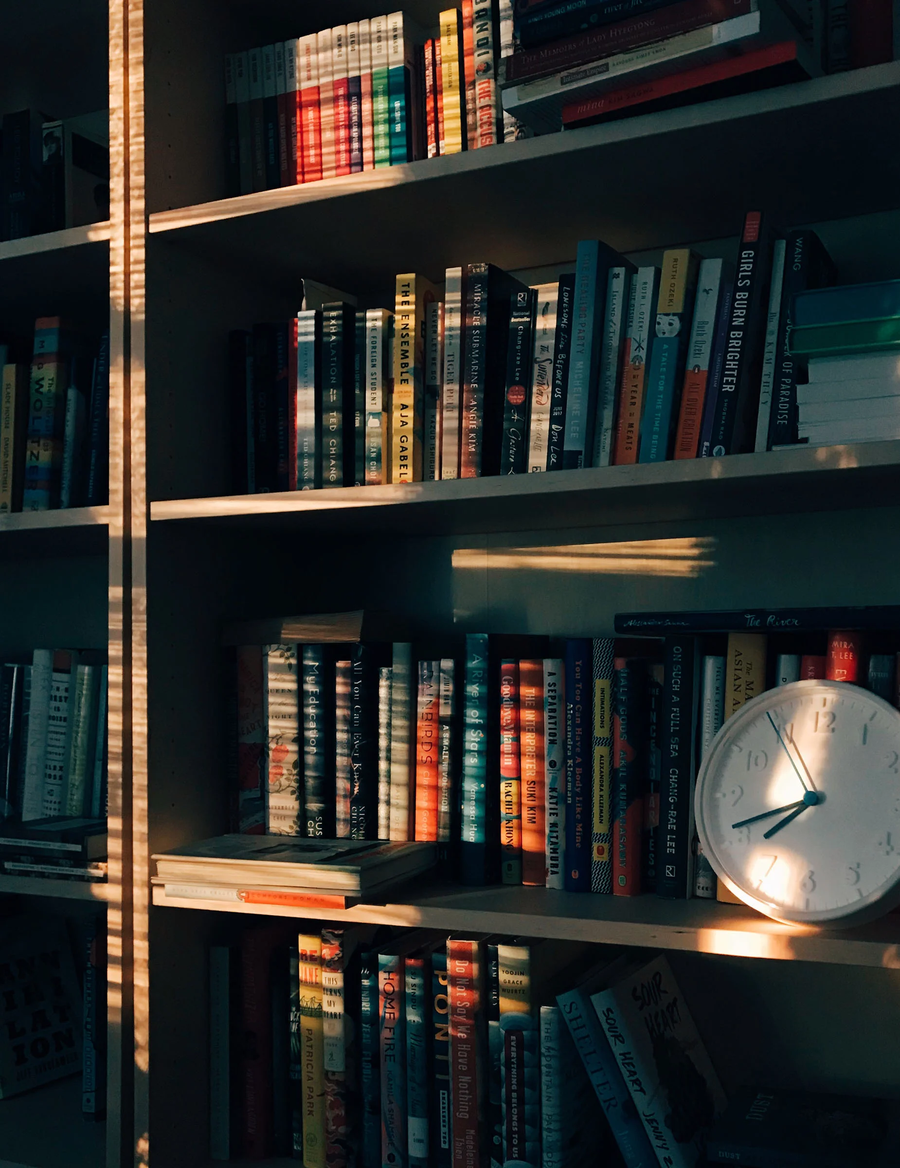 BOOKS-LIGHT.jpg