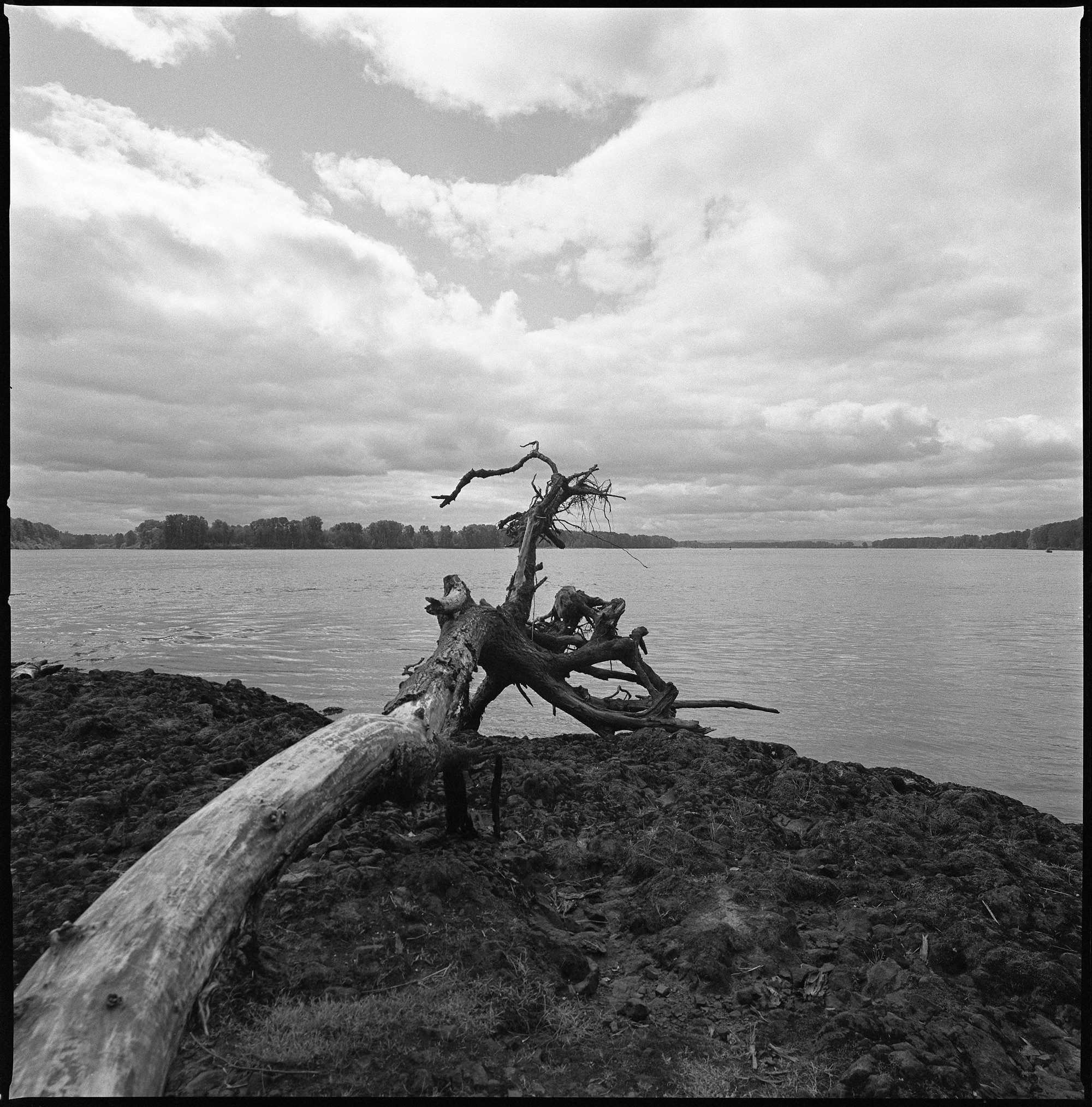 LOG AT WARRIOR ROCK