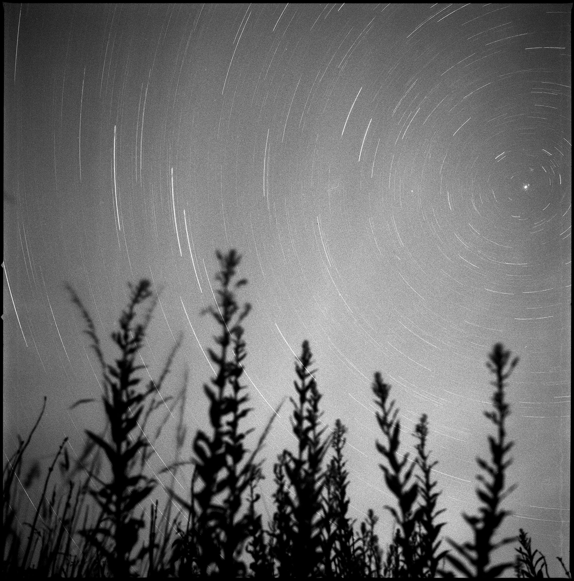 STAR TRAILS