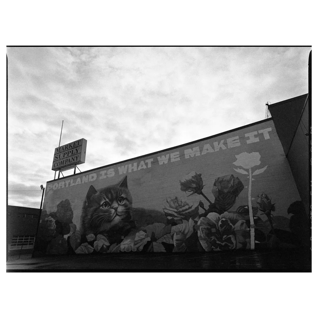 On the road, but missing home.
.
#filmphototgraphy #pdx #portland #mural#blackandwhitephotography