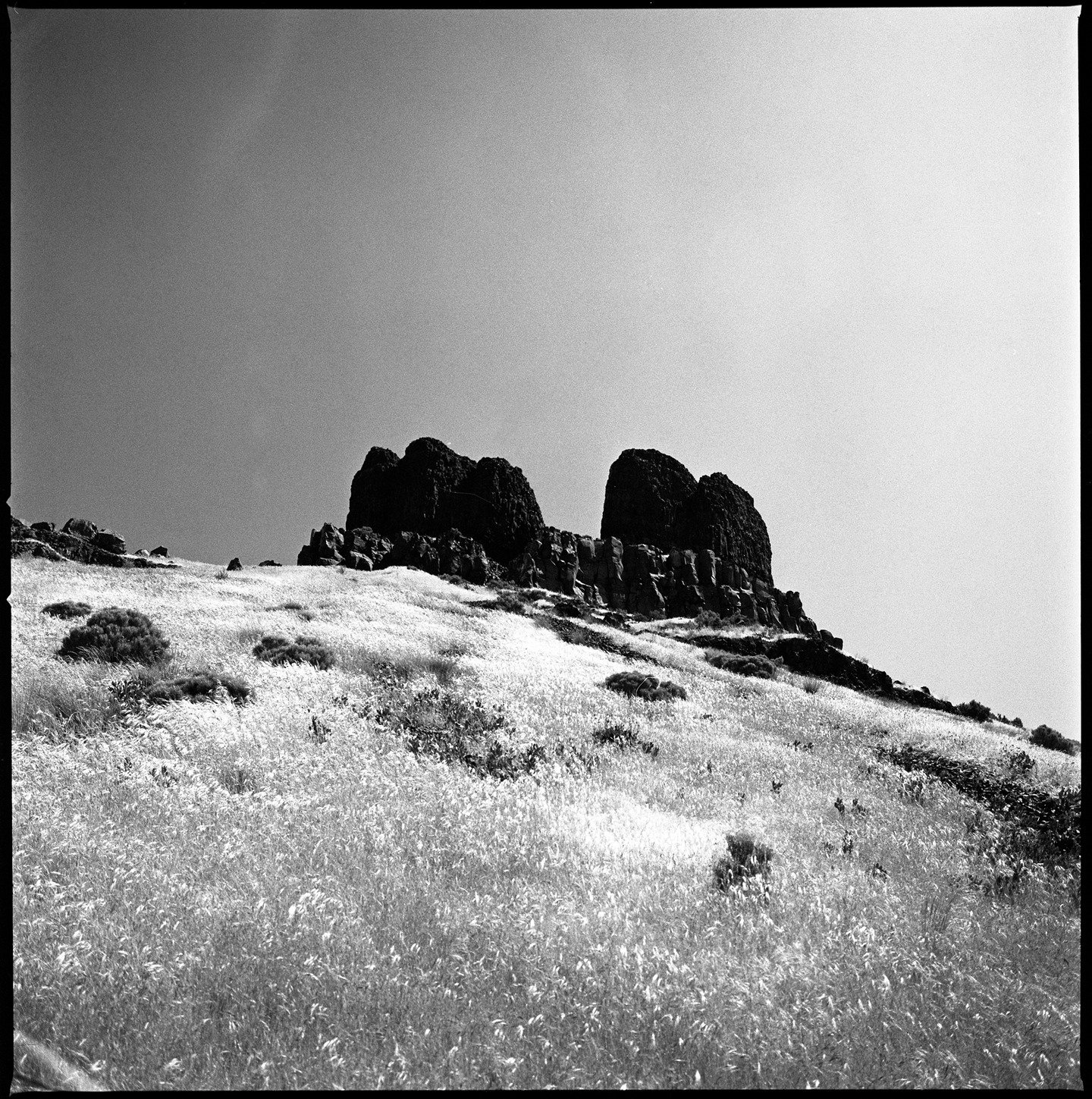 I'm looking forward to some outdoor adventures this weekend. 
.
#filmphotography #landscape #hasselblad #blackandwhitefilm #darkroom #analogphotography #mediumformat #oregon #pacificnorthwest #ilford