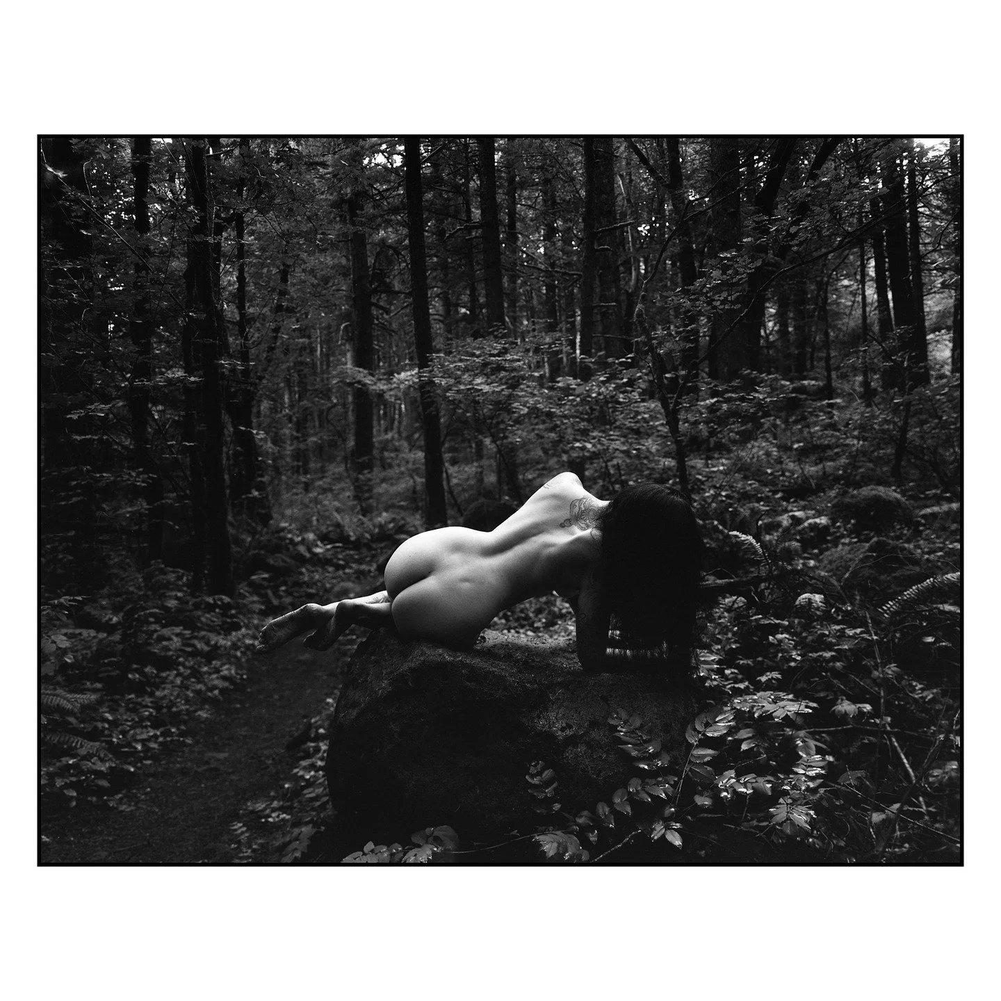 It was hot as blazes out when this image was taken and the shade and shadows of the forest were a incredible relief. 

Sometimes working in a thick patch of trees like this can be a real challenge during the summer because the light can be patchy and