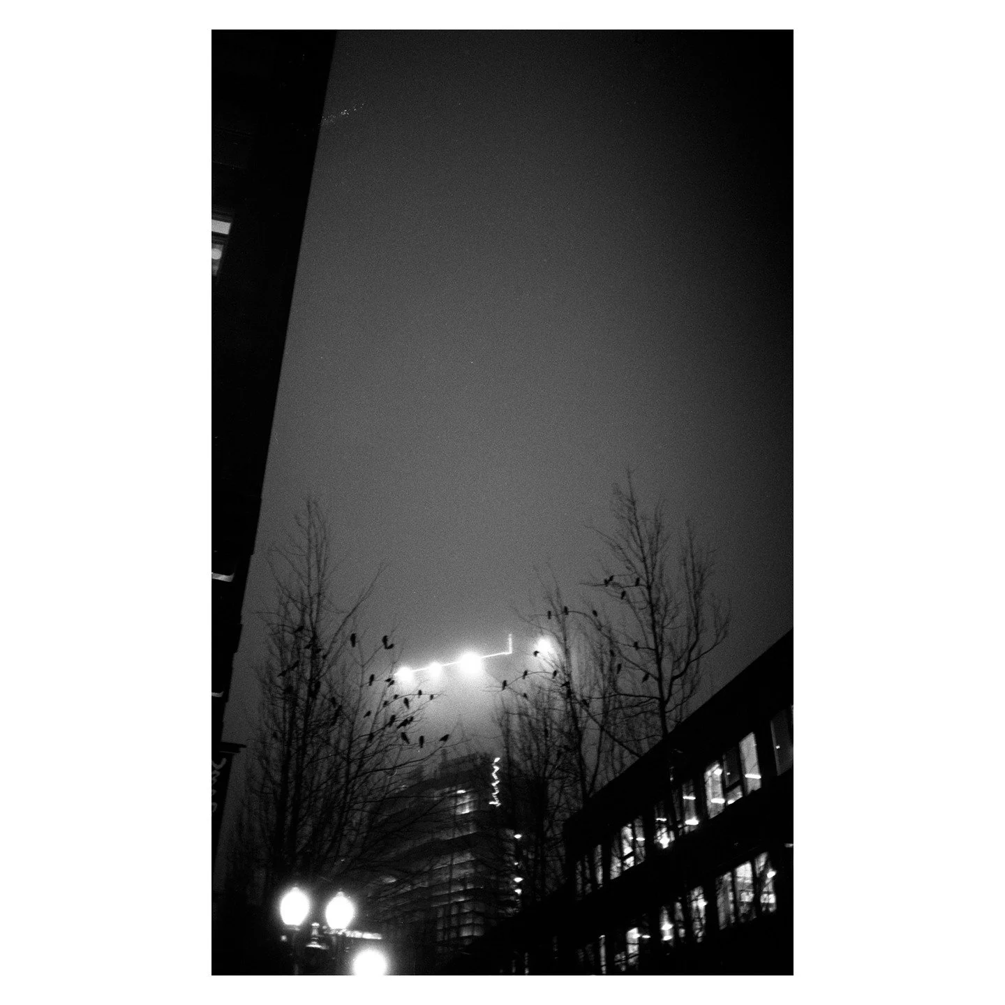 Quick snapshots after going to a movie. 
.
#filmphotography #streetphotography #35mmfilm #blackandwhitefilm #pdx #portland #olympus #ilford #darkroom #rodinal