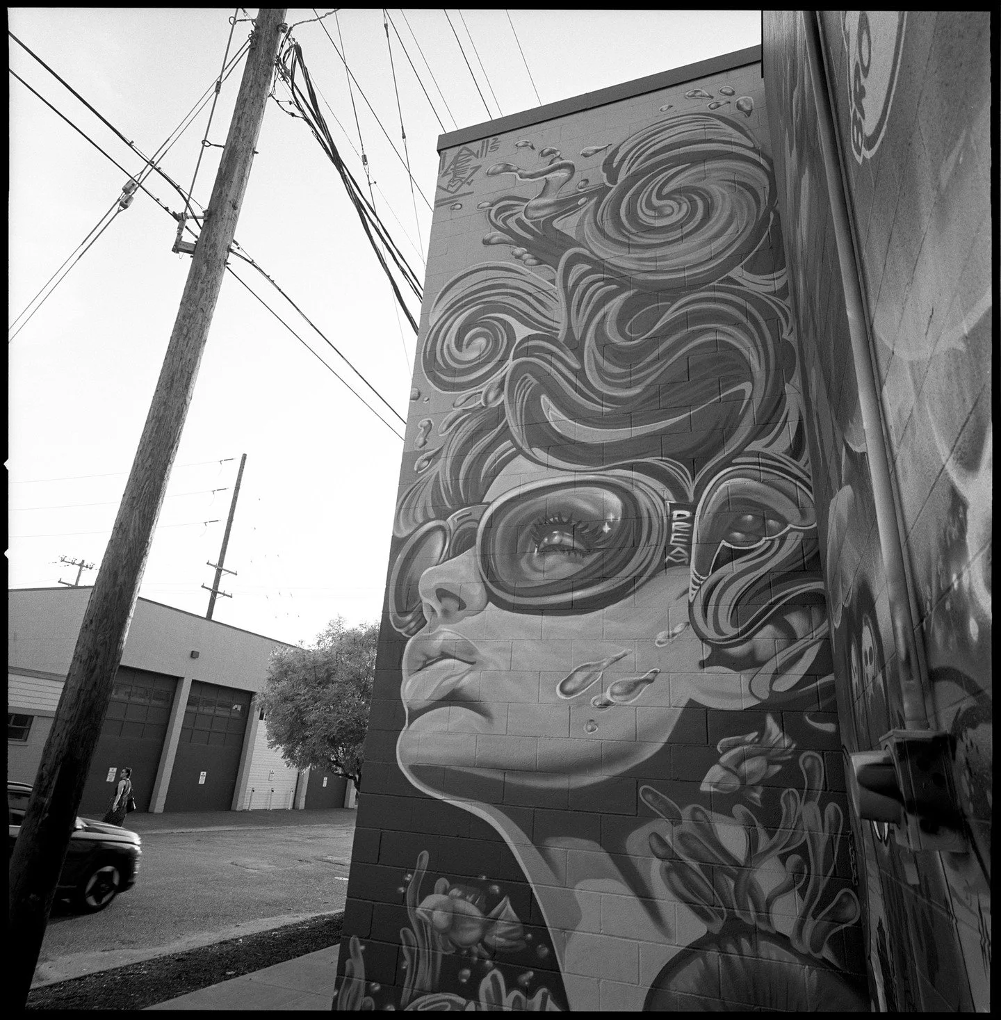 More murals on the inner east side of Portland. So much great art on public view for anyone willing to brave the outdoors. 
.
#filmphotography #hasselblad #streetart #streetphotography #mural #portland #pdx #eastside #ilford #rodinal #darkroom