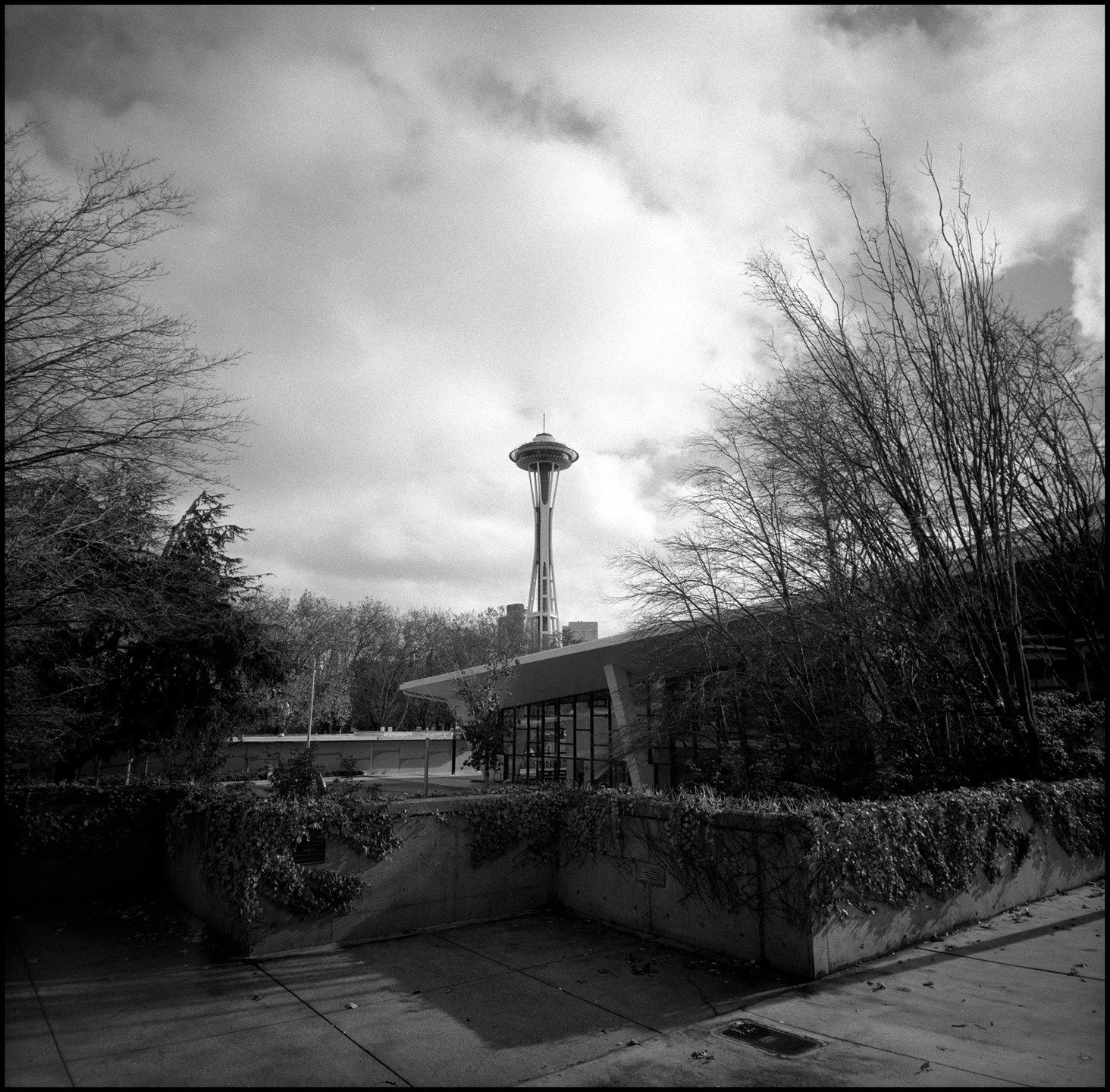 Walking around Seattle, taking advantage of a window between rain showers. 
.
#filmphotography #blackandwhitefilm #seattle #spaceneedle #streetphotography #mediumformat #ilford #pacificnorthwest