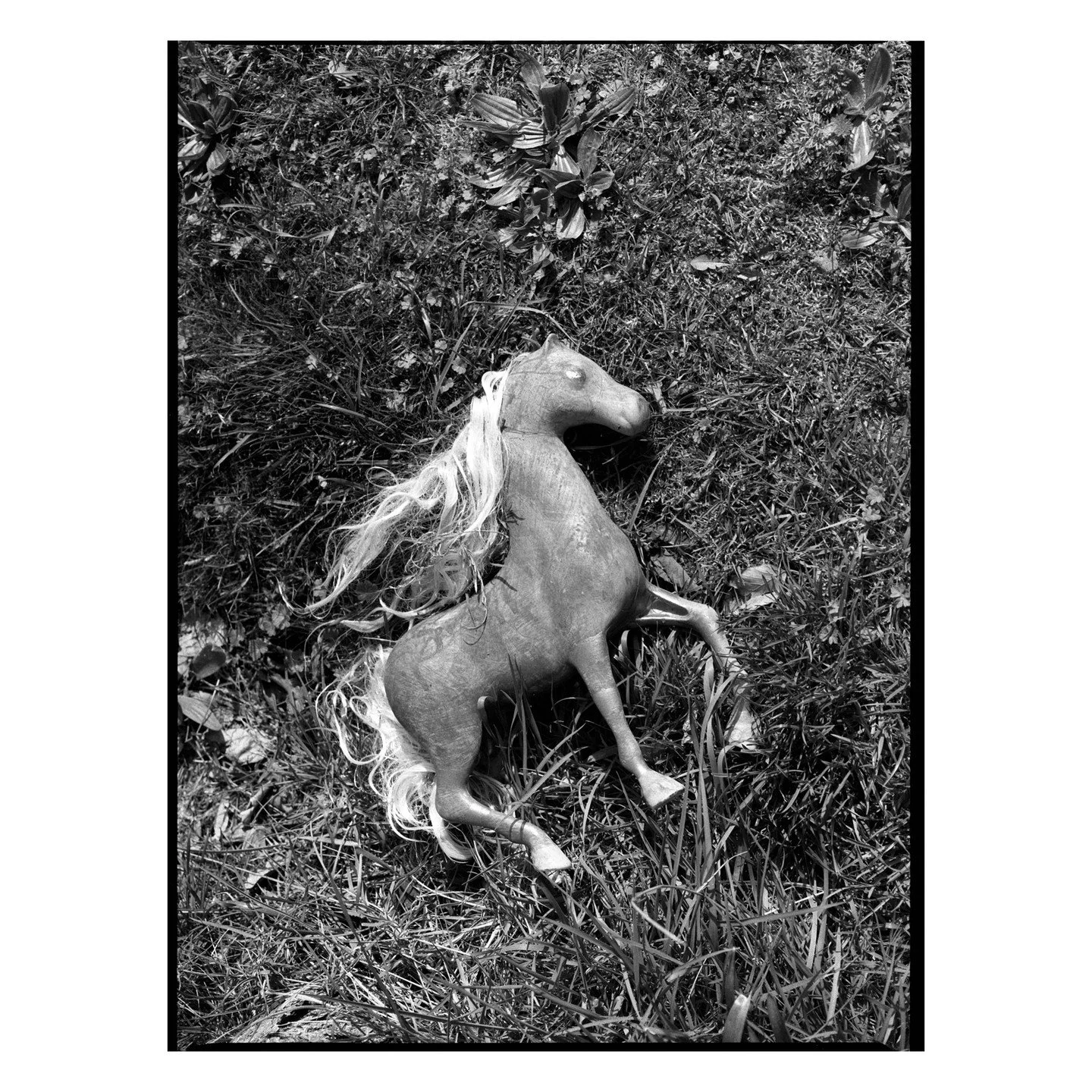 Walking around the neighborhoods where I live it isn't hard to find little horses all over the ground. I have a whole folder on my desktop labeled &quot;PDX Horses&quot; and it's nothing but toy horses sitting on curbs, people's front lawns, nestled 