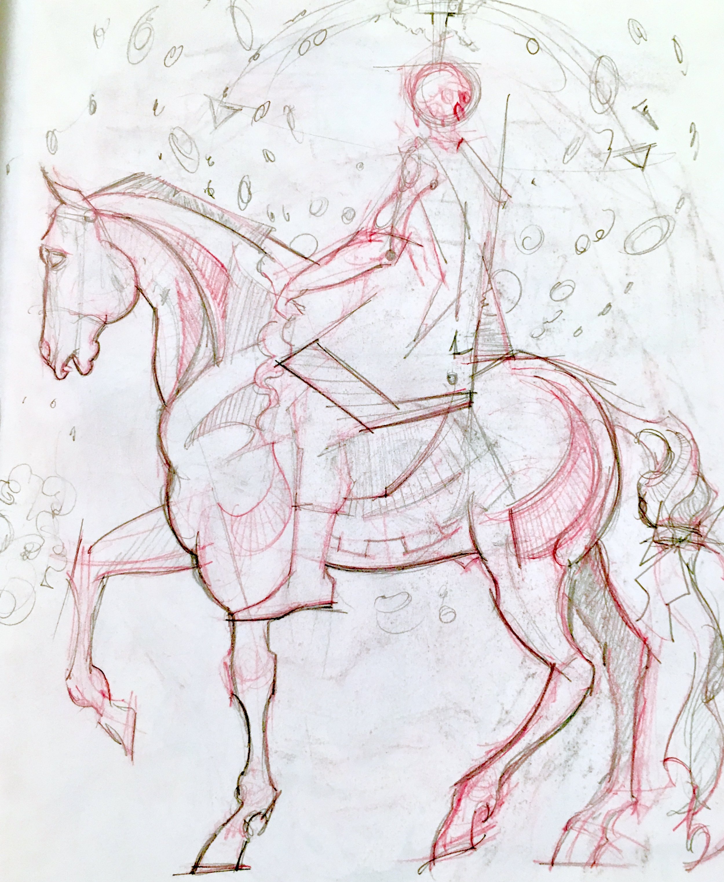 Equestrian Study