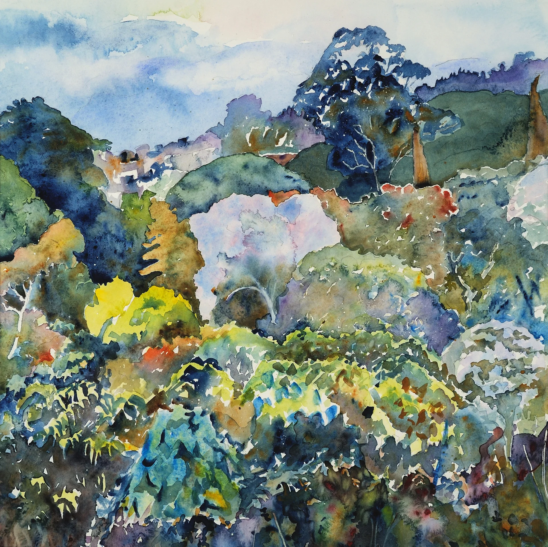 Panama Landscape