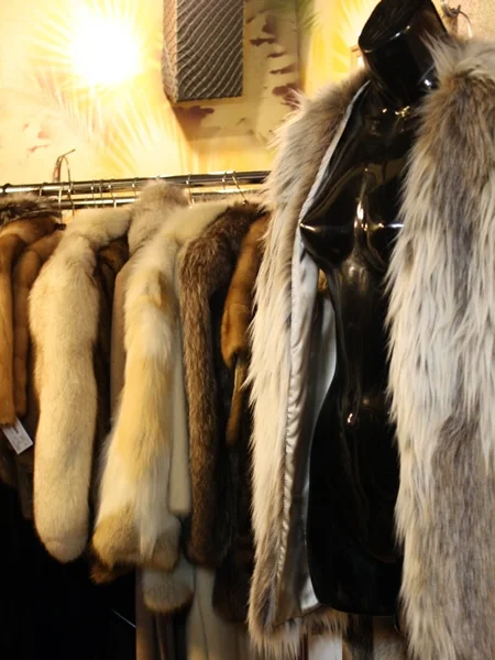 Fur Salon — Christé Blue