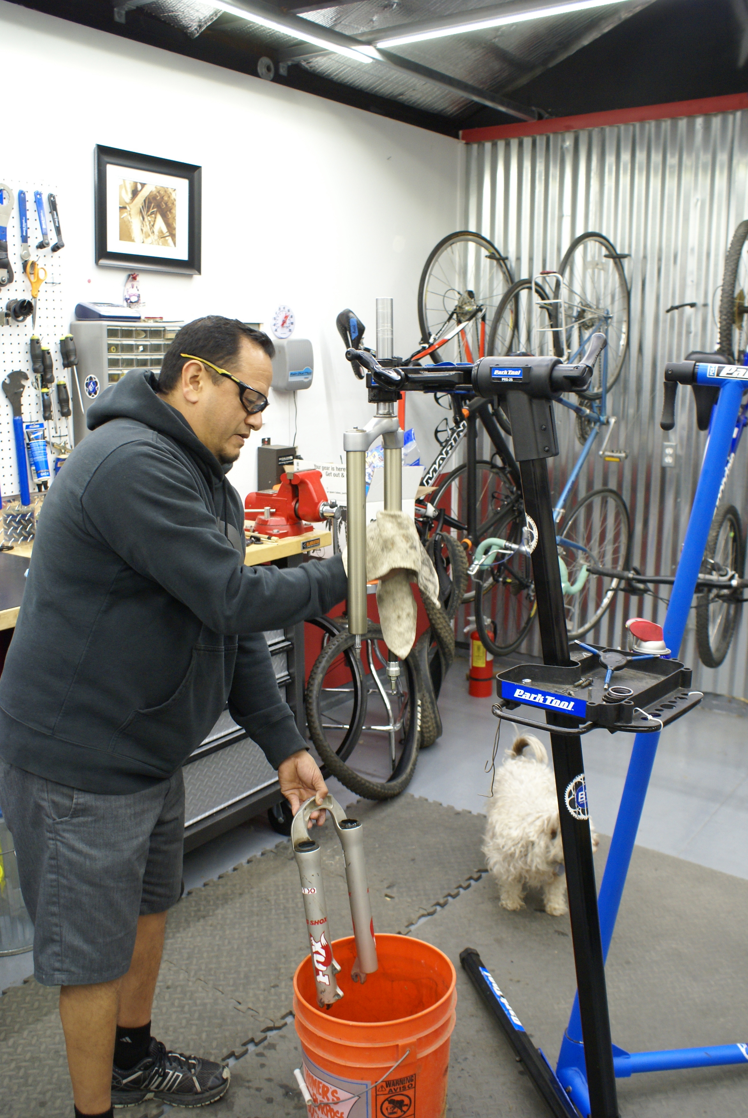 fork seal replacement