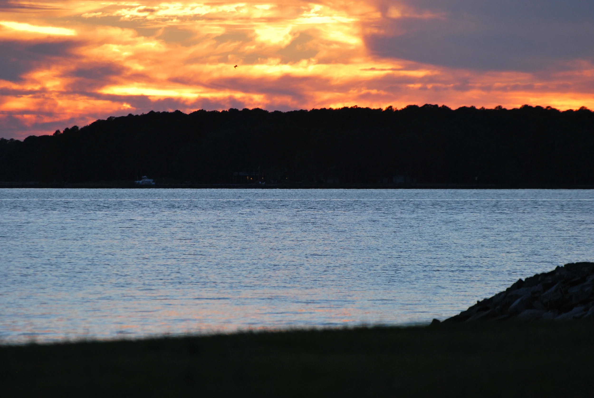 Dude-a-palooza et al 095.JPG