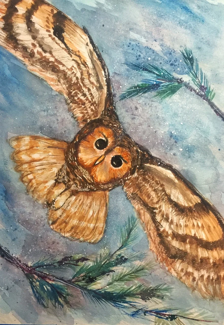 Tawny Owl In Flight