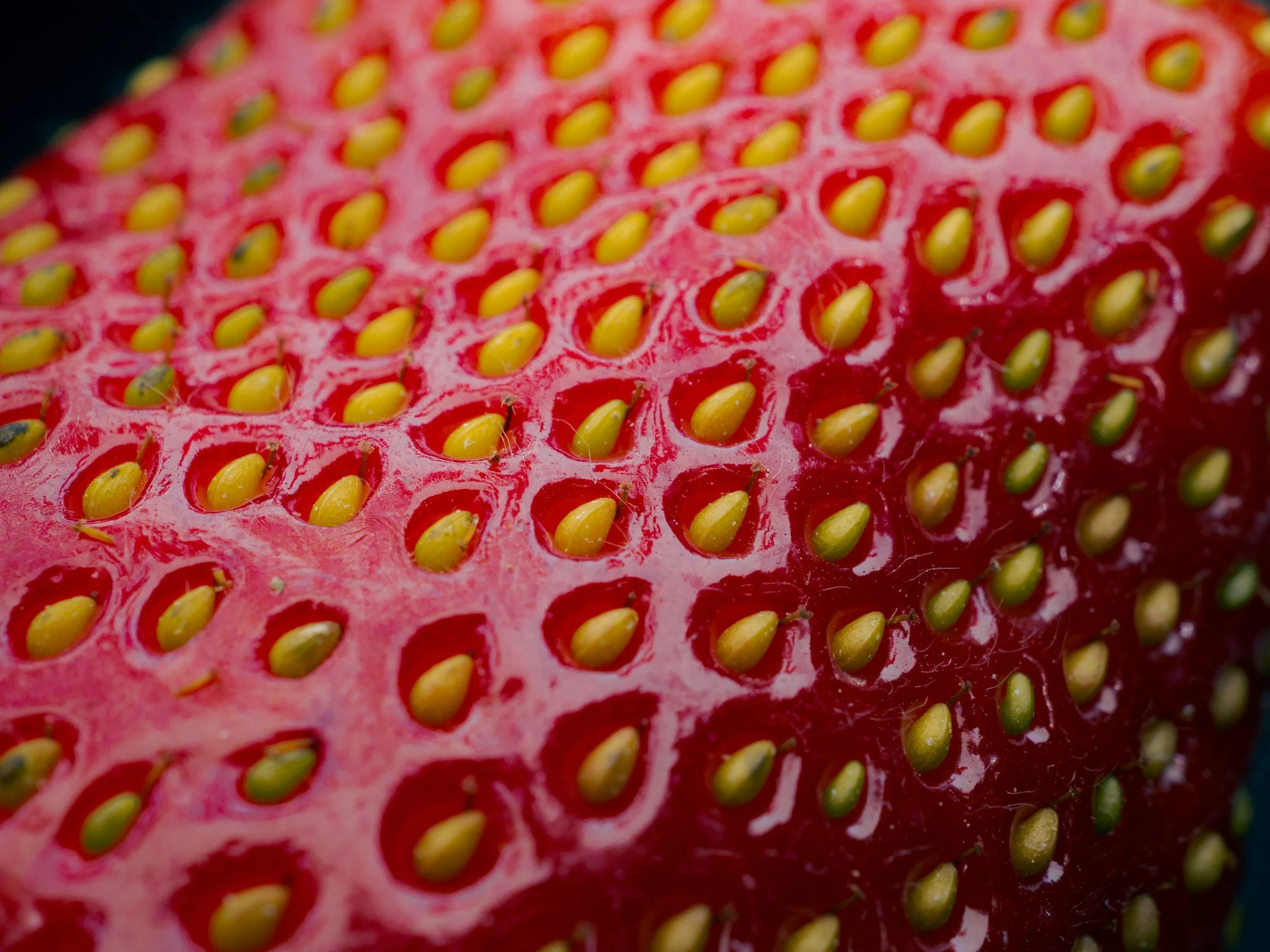 close-up of strawberry seeds