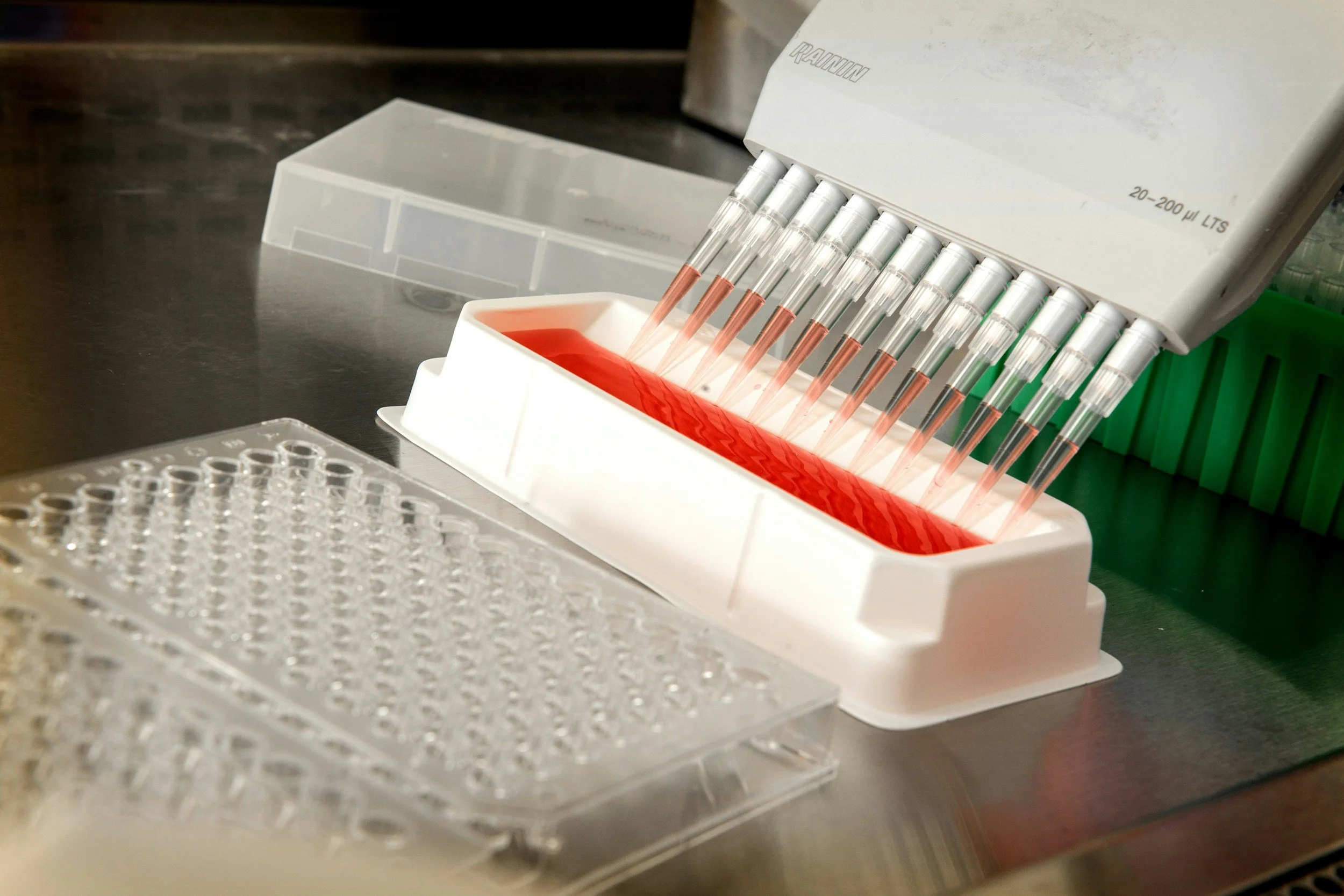 multichannel micropipetter hovering over a 98-well plate with liquid inside