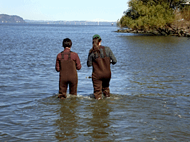 brown-overalls copy.gif