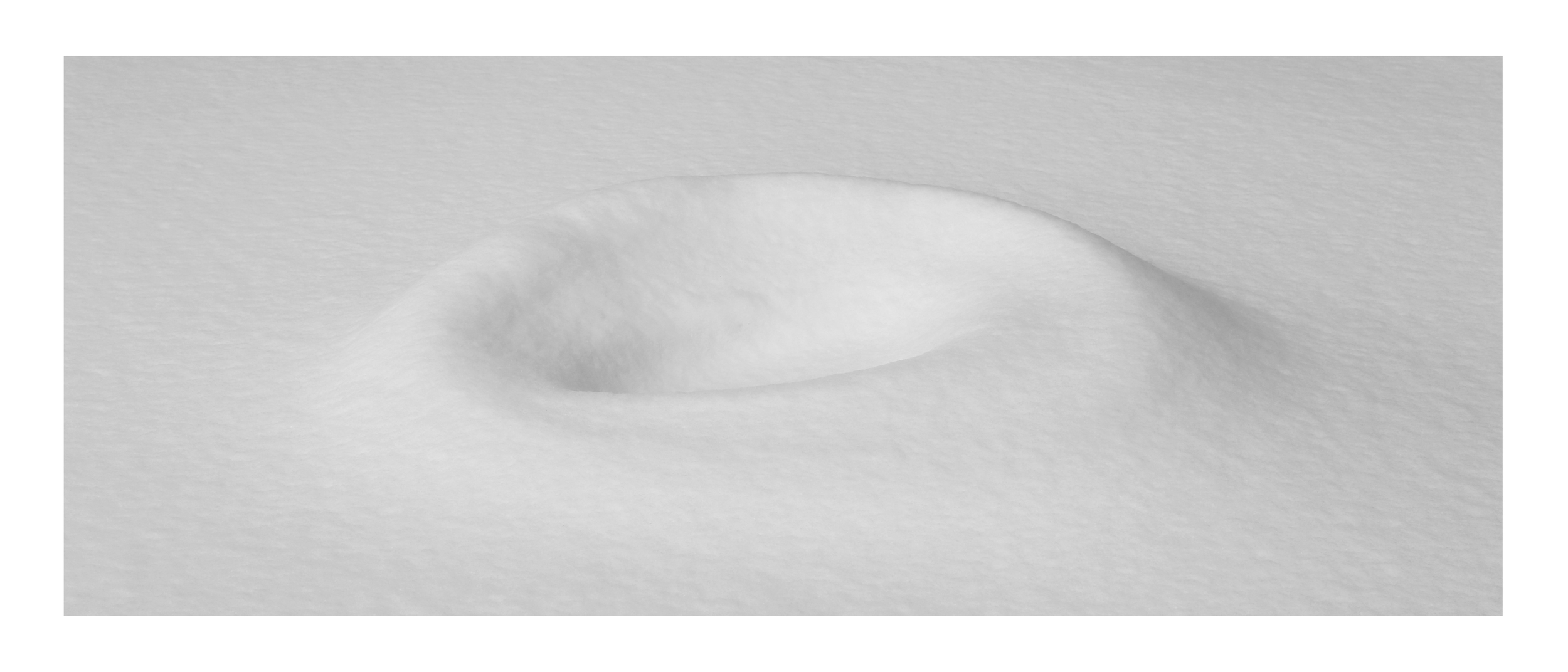 TI_DONUTLARGE.jpg