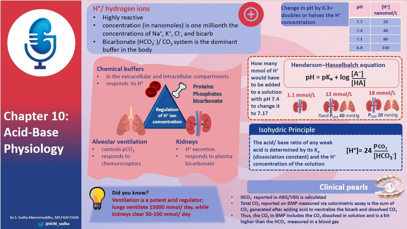 Chapter Ten : Acid-Base Physiology