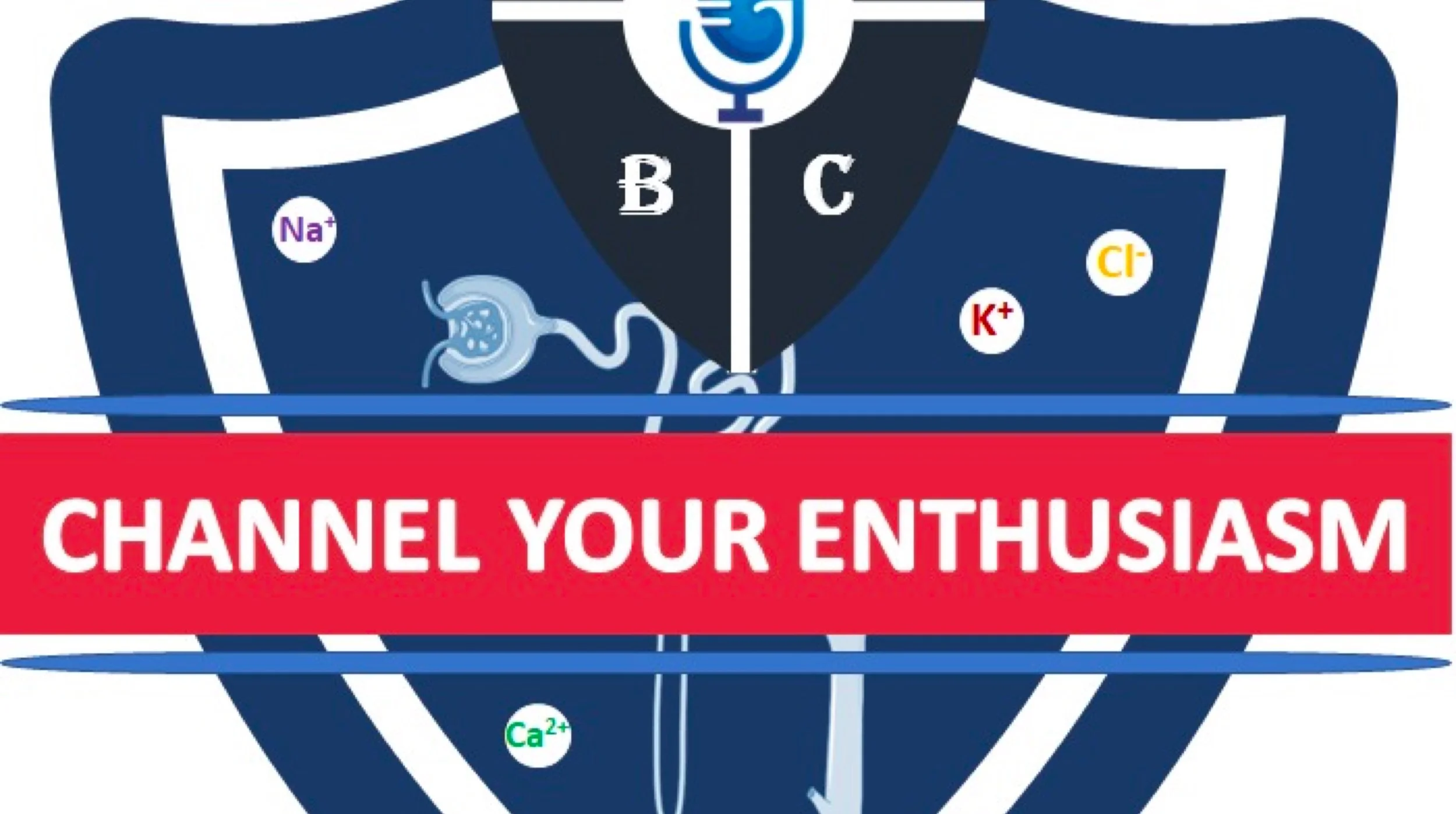 The 2023 NKF Clinical Meeting Live Recording: Diuretic Draft