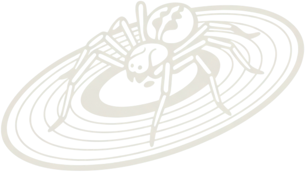 Brown Recluse Studio