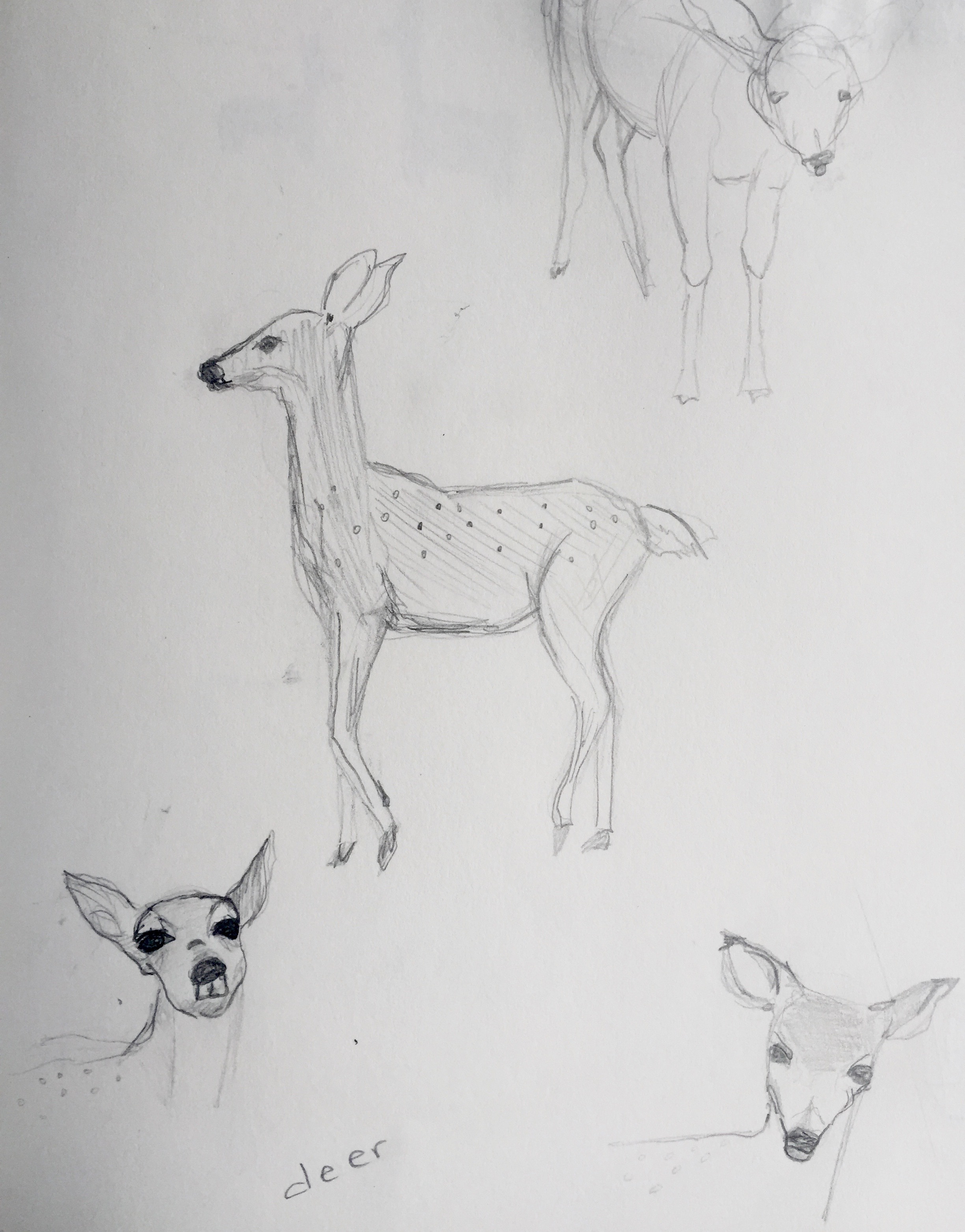 "Sketchbook p. 10"