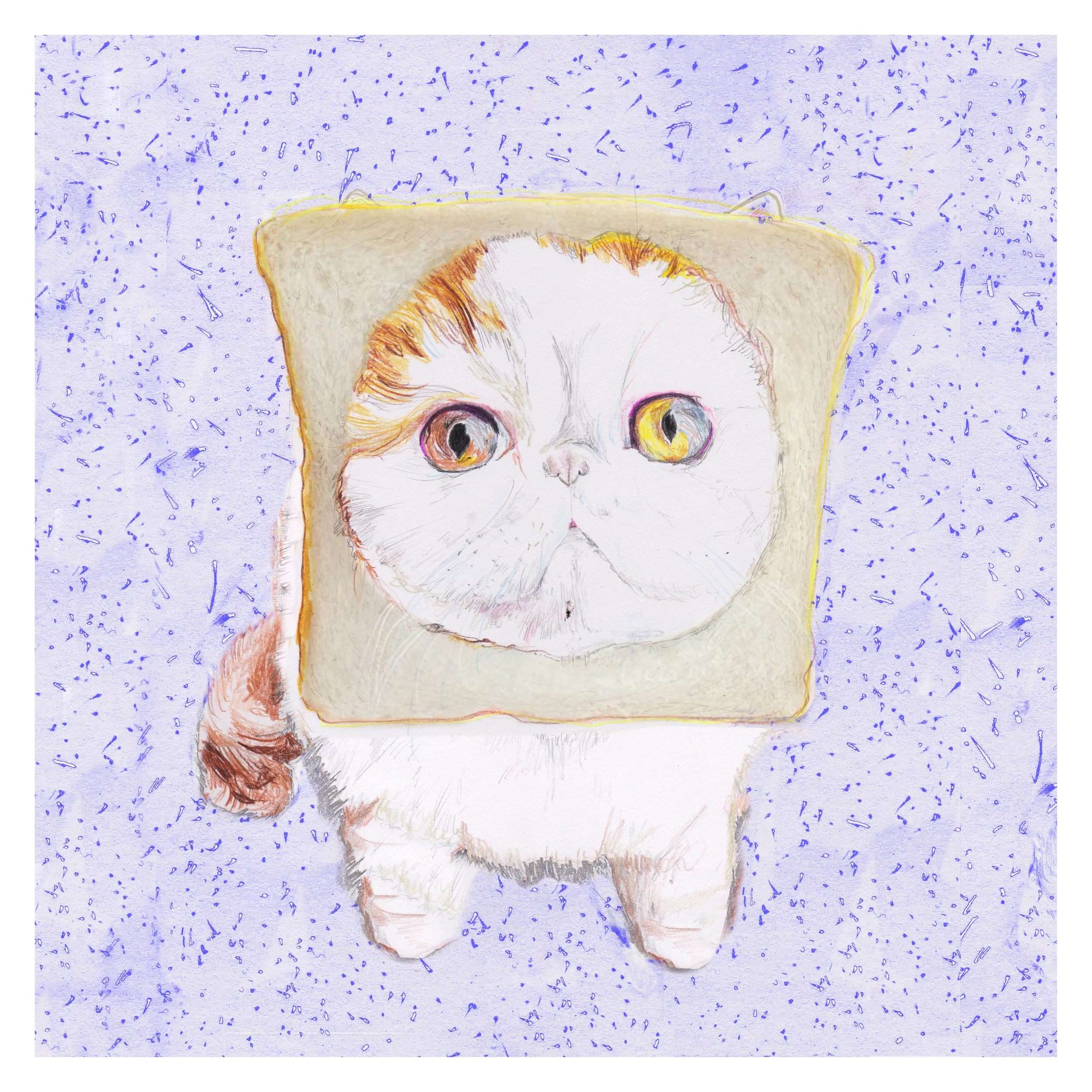 Internet Cat Film Festival with Flatpack Film Festival