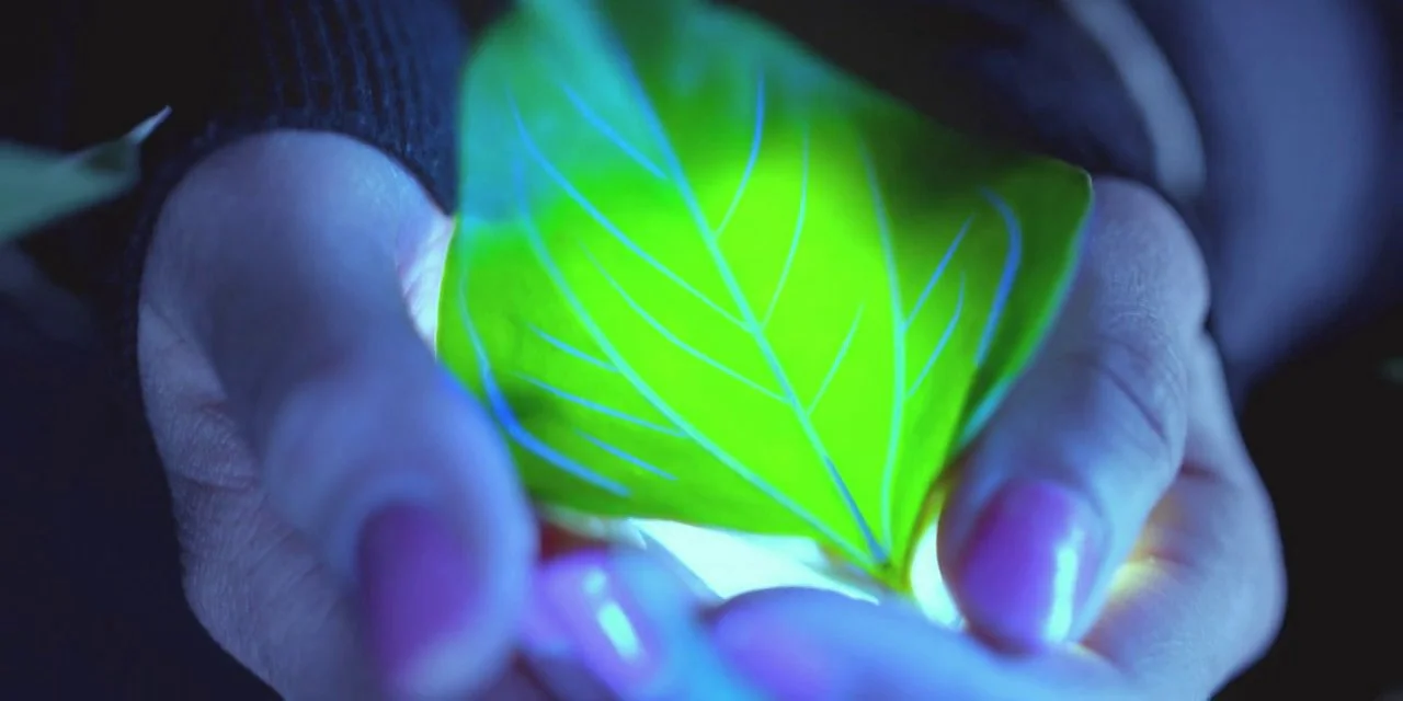 Arty feat. Chris James  "Together We Are"